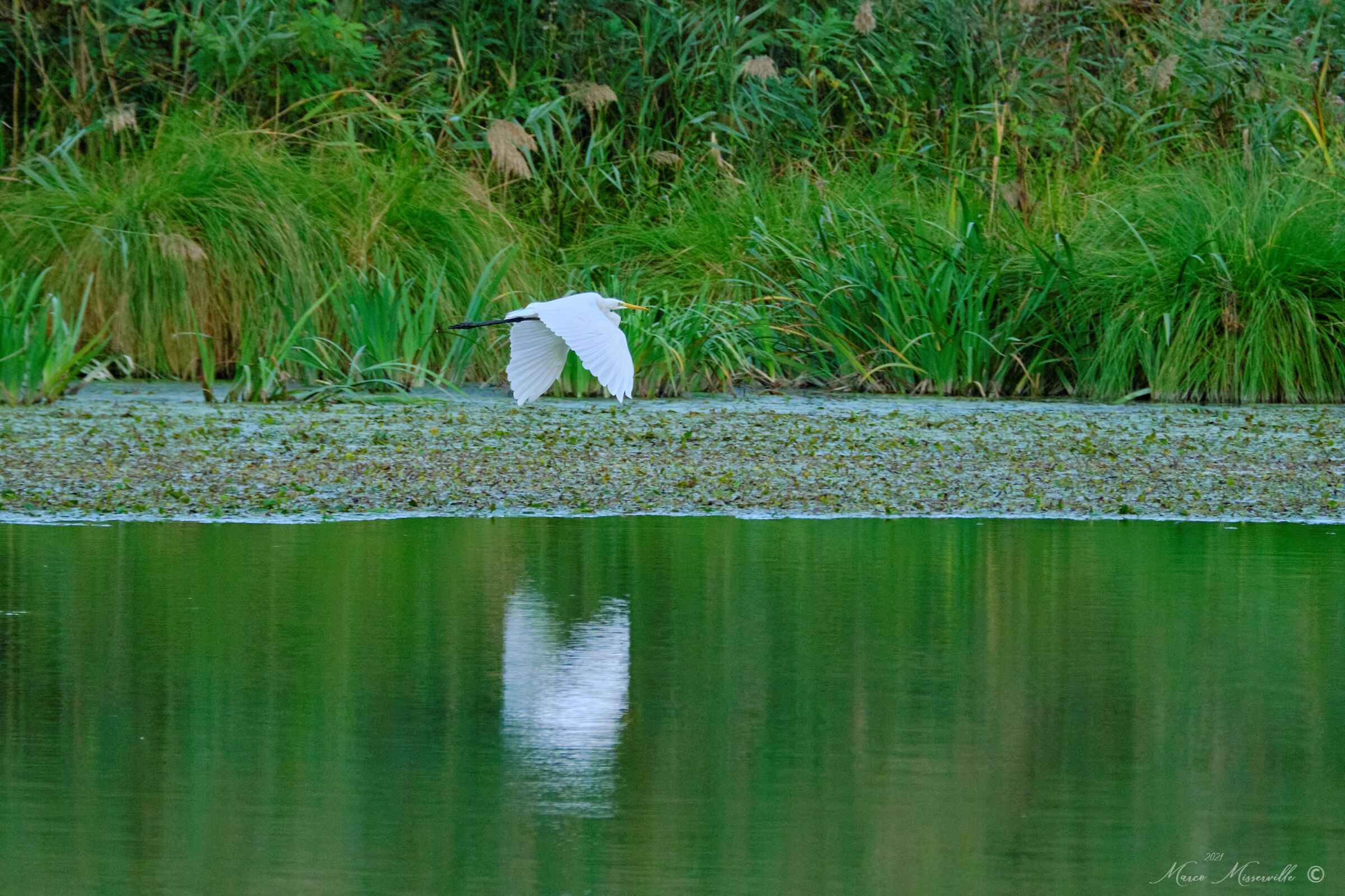 riserva nazzano-farfa_03