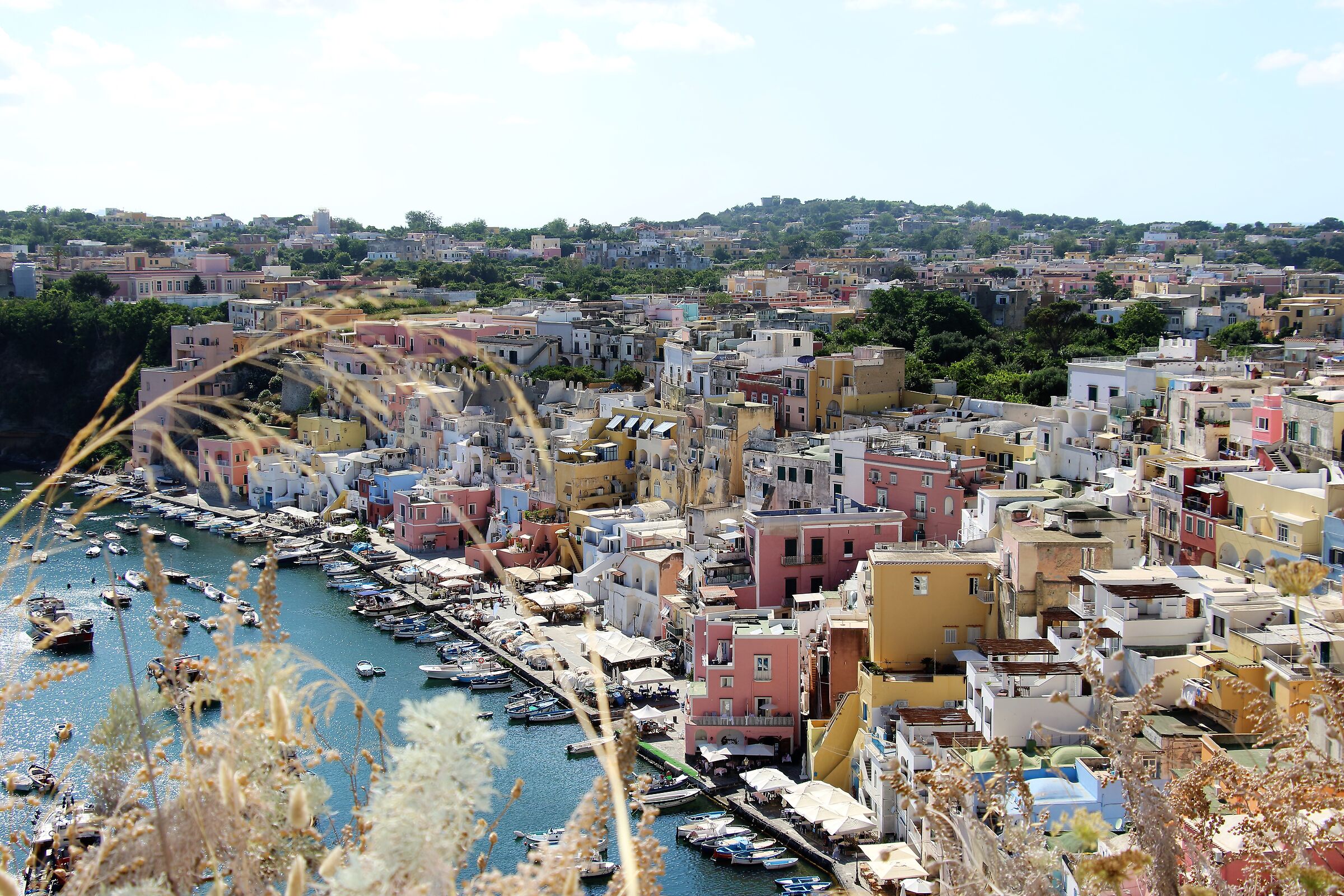 Procida