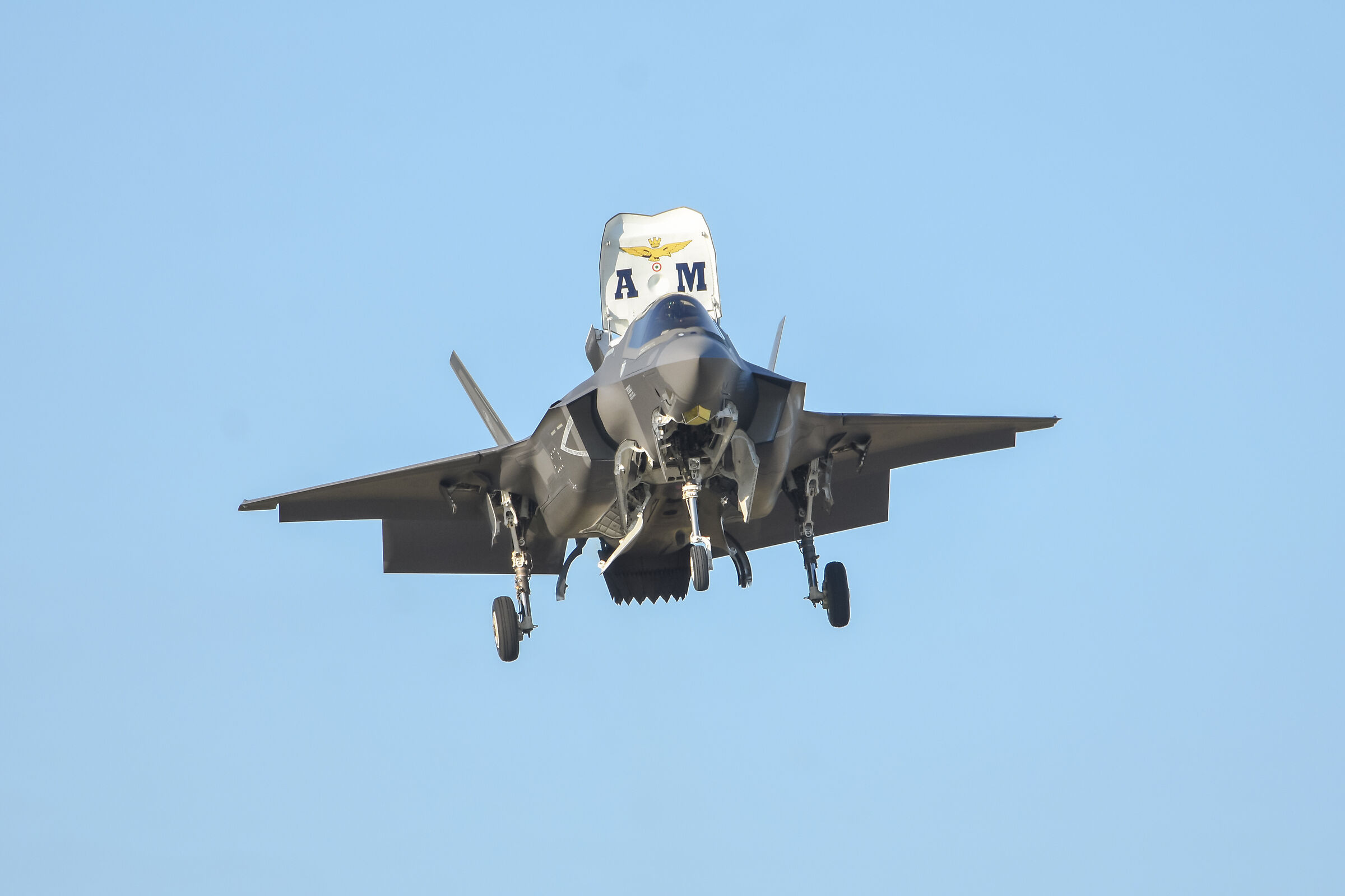 F 35
