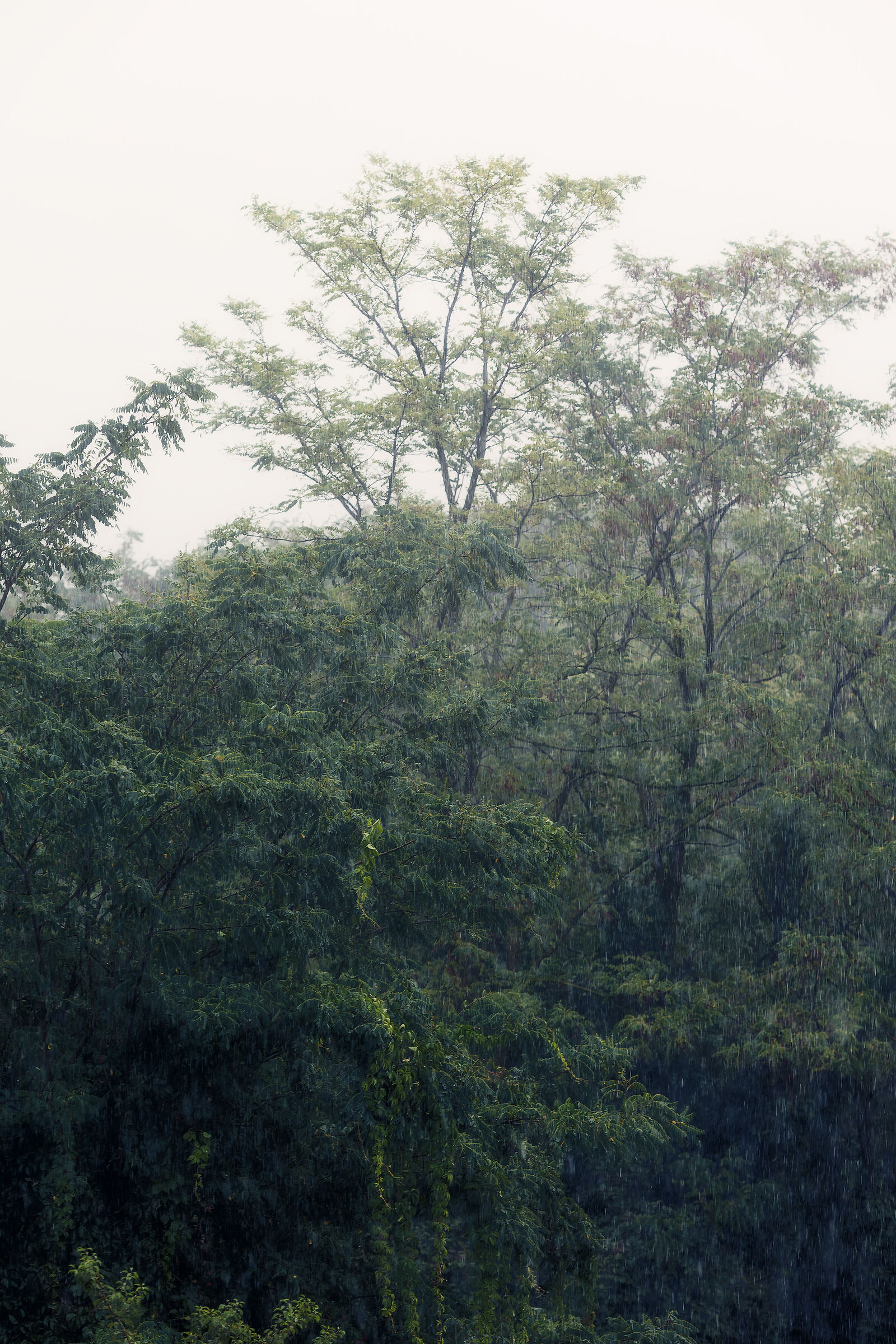 Untitled Photo