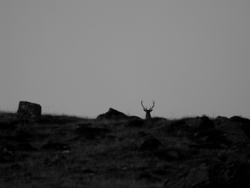 B/N Sull'altro versante!