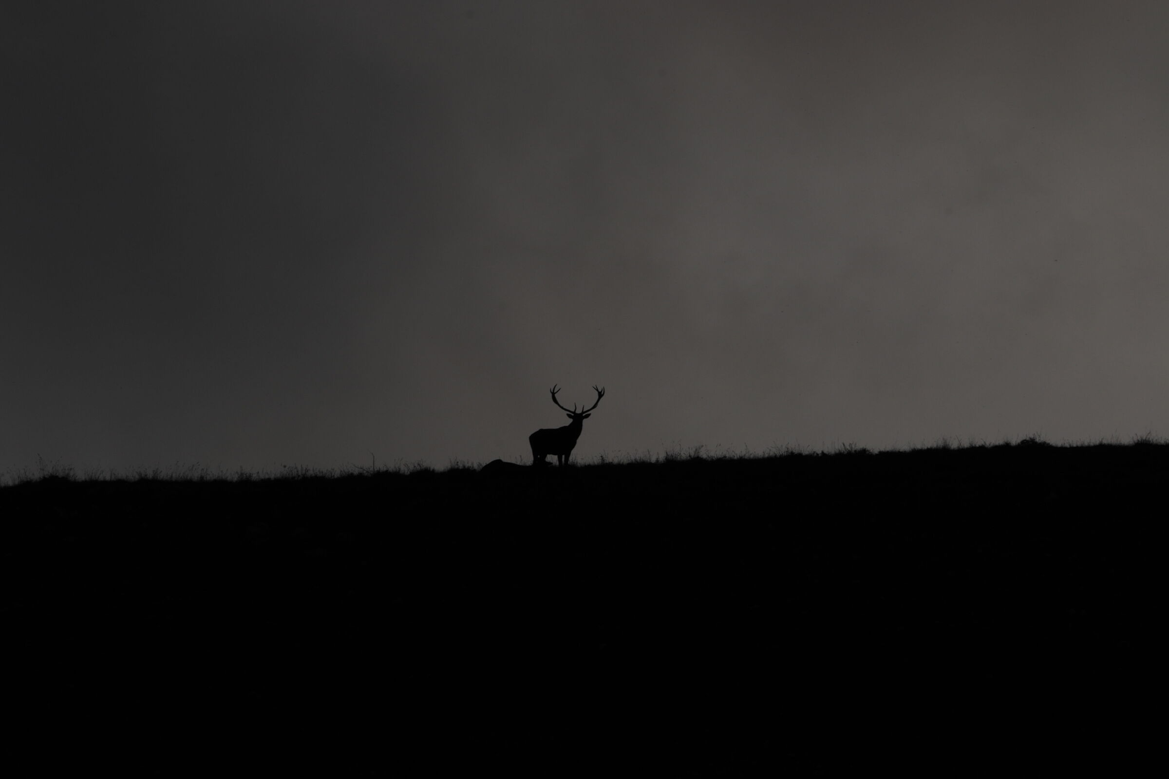 il guardiano dell'orizzonte