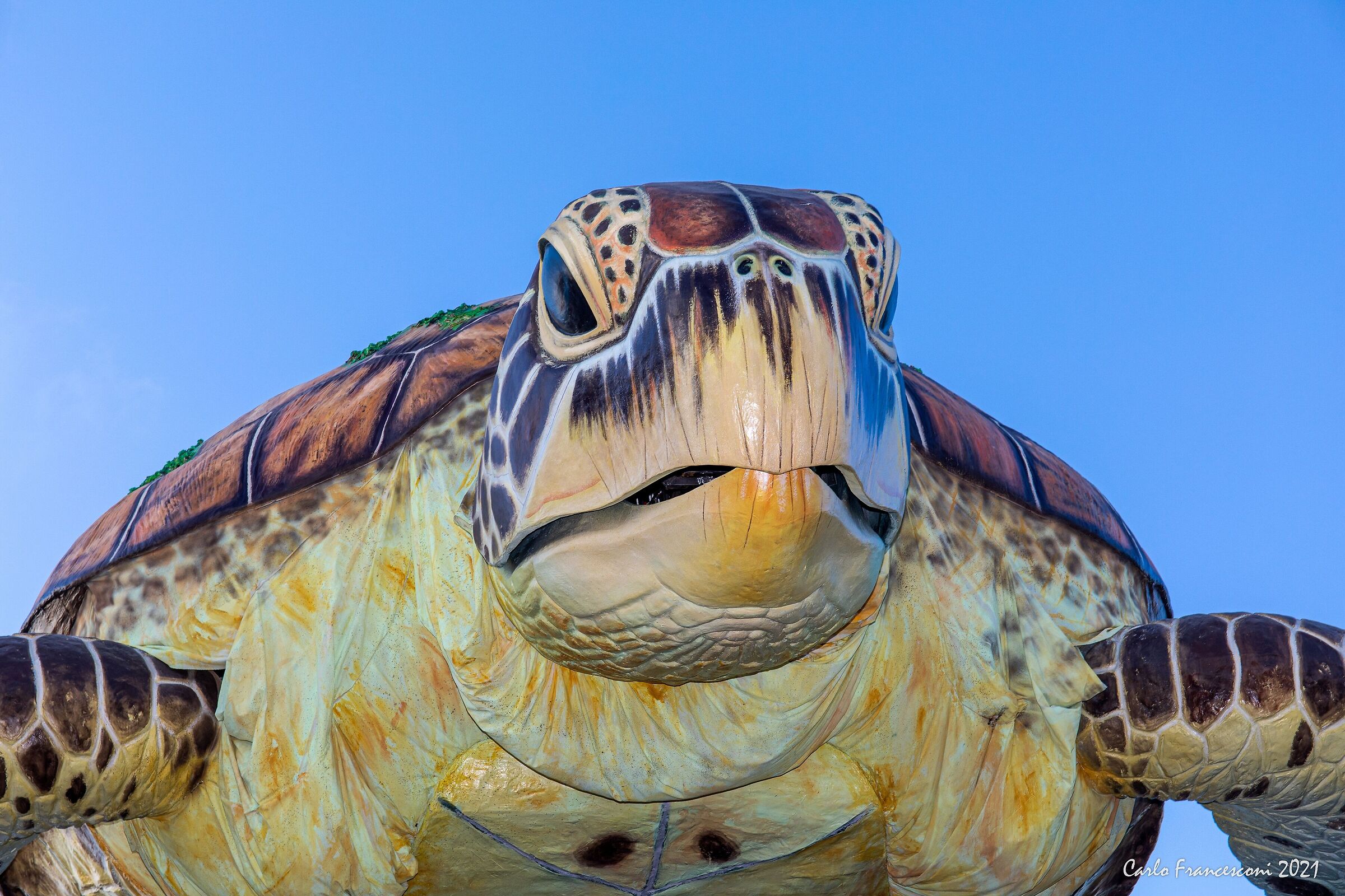 Carnevale di Viareggio
