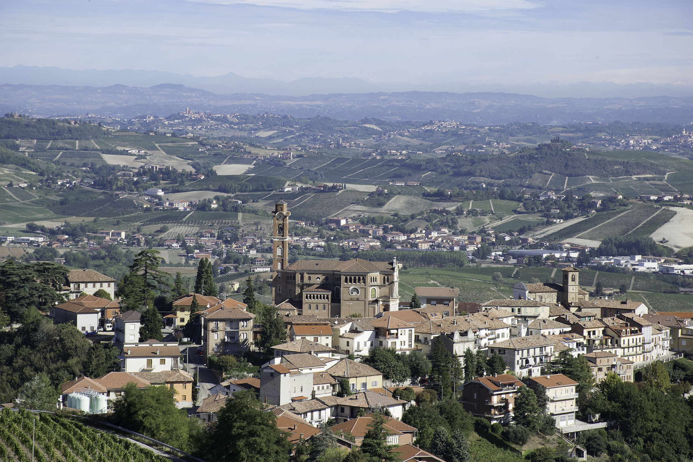 Semplicemente Langhe