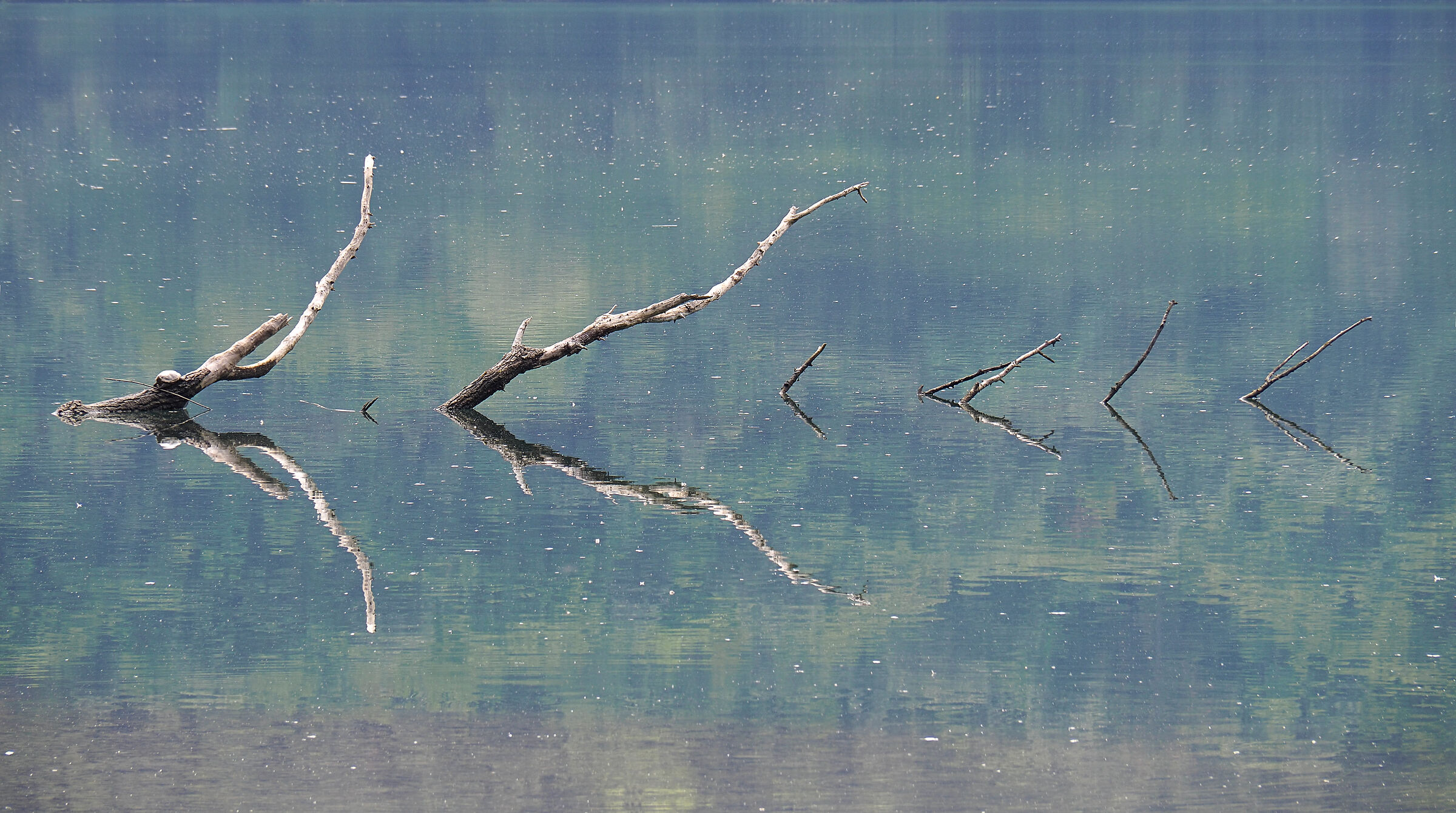 reflected symmetries