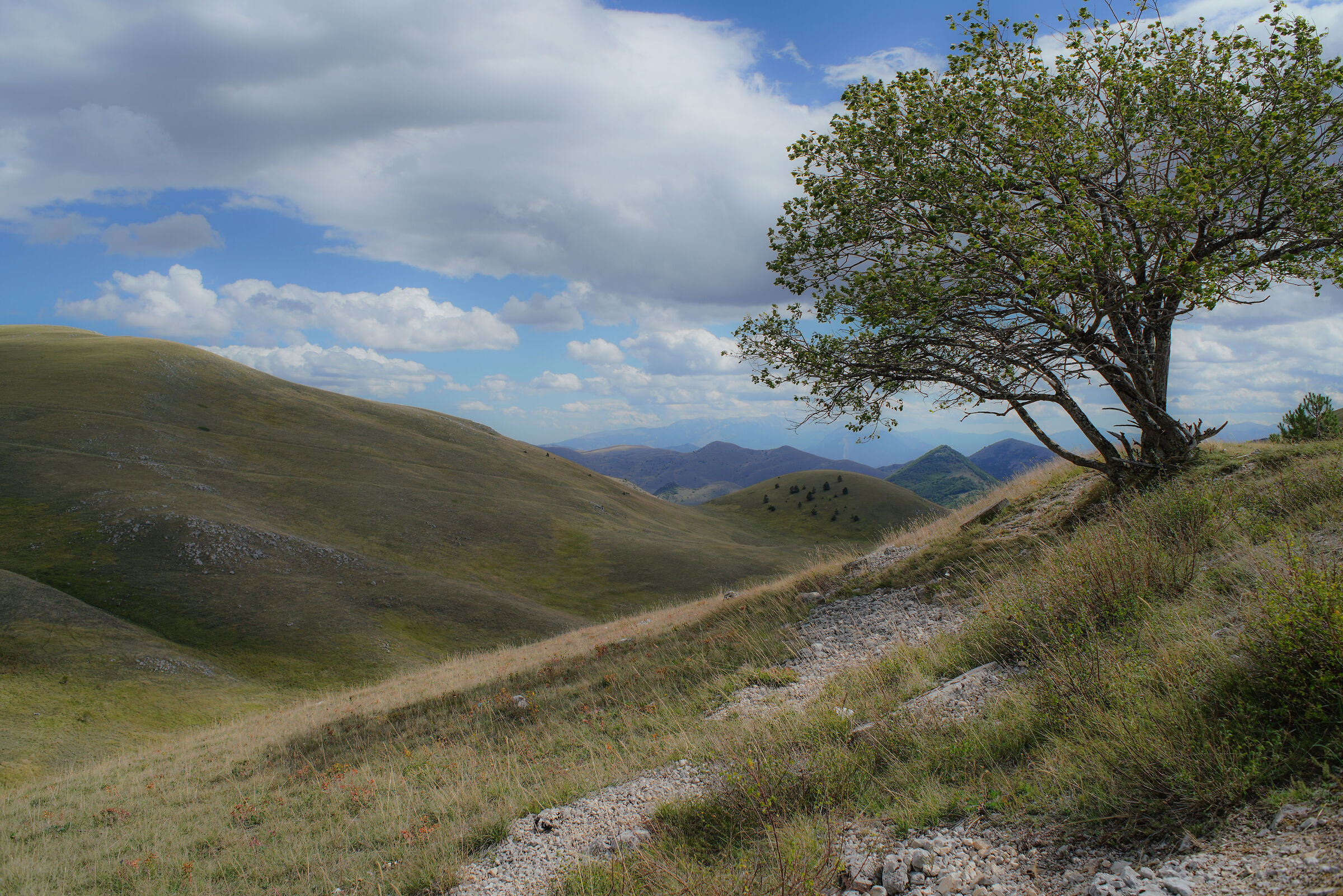 From the parts of the Gran Sasso
