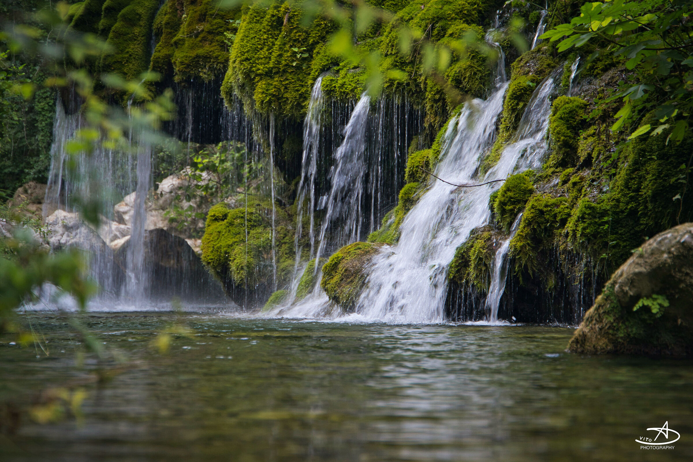 Oasi Capelli di Venere