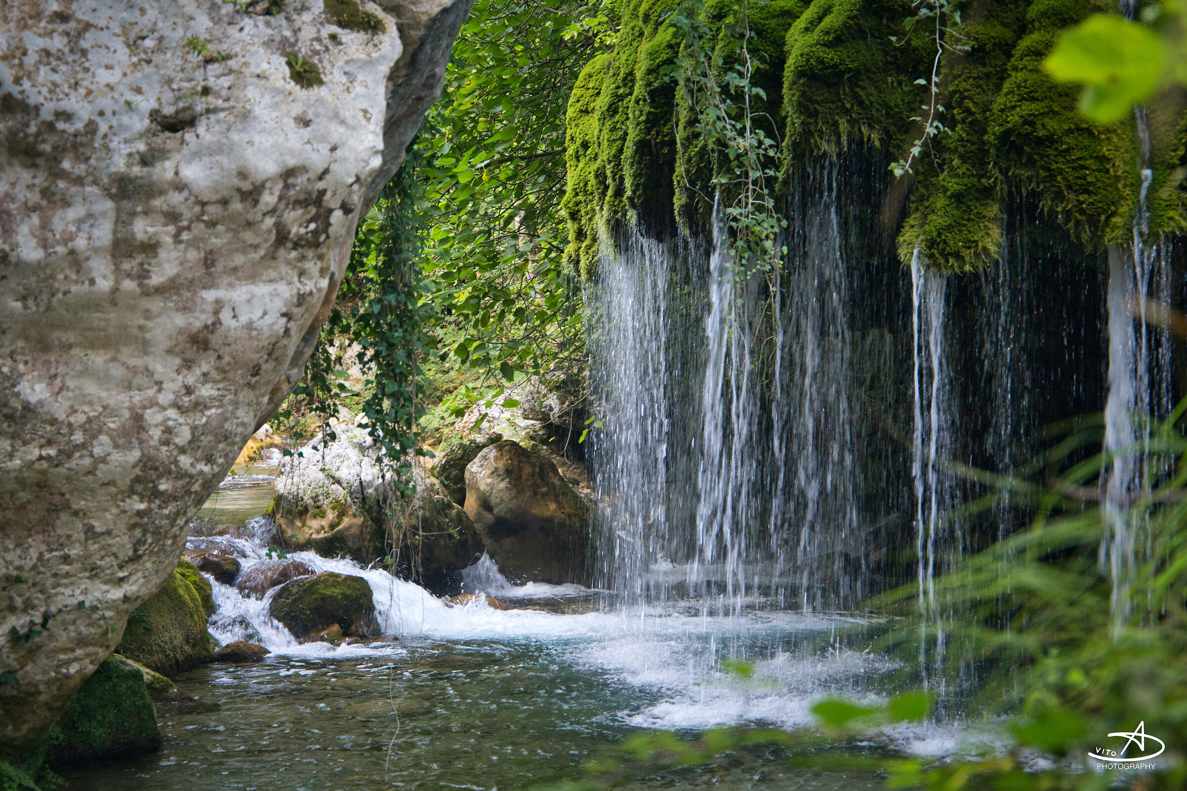 Oasi Capelli di Venere