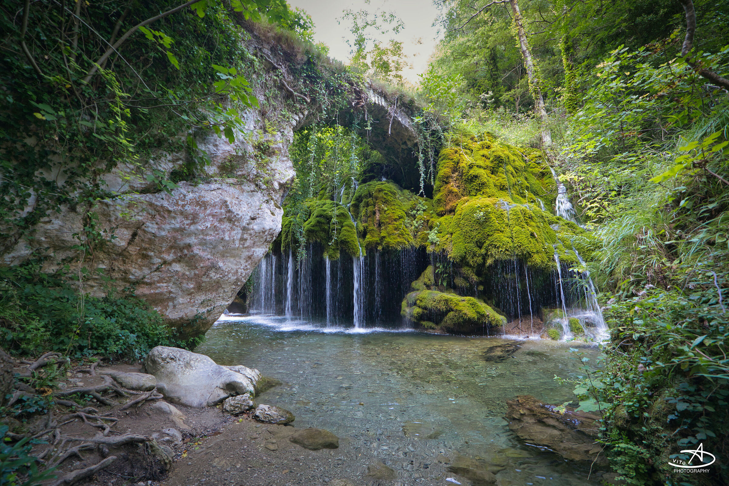 Oasi Capelli di Venere
