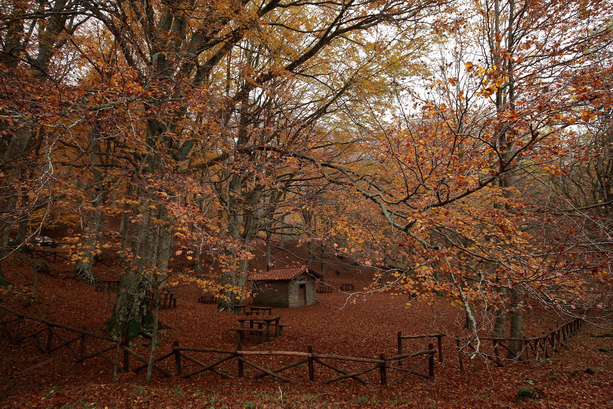The little refuge inside the autumn