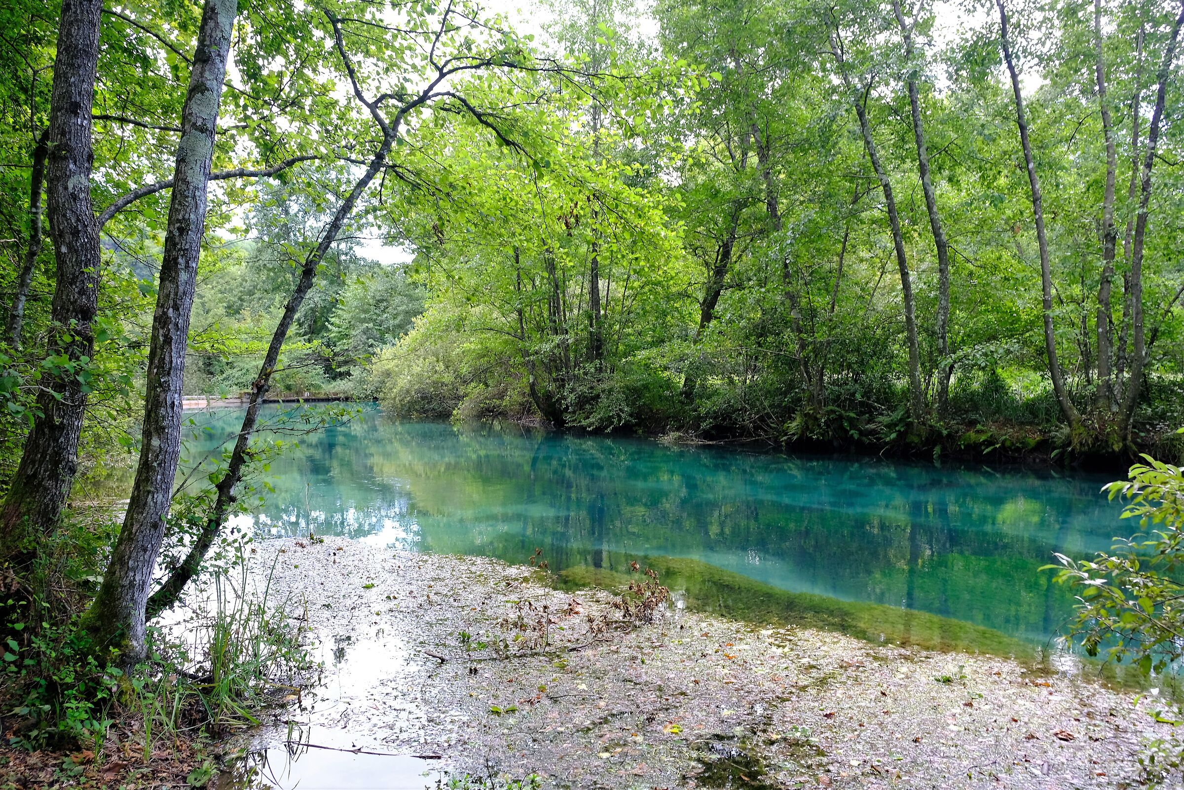 Clear, fresh and fresh waters