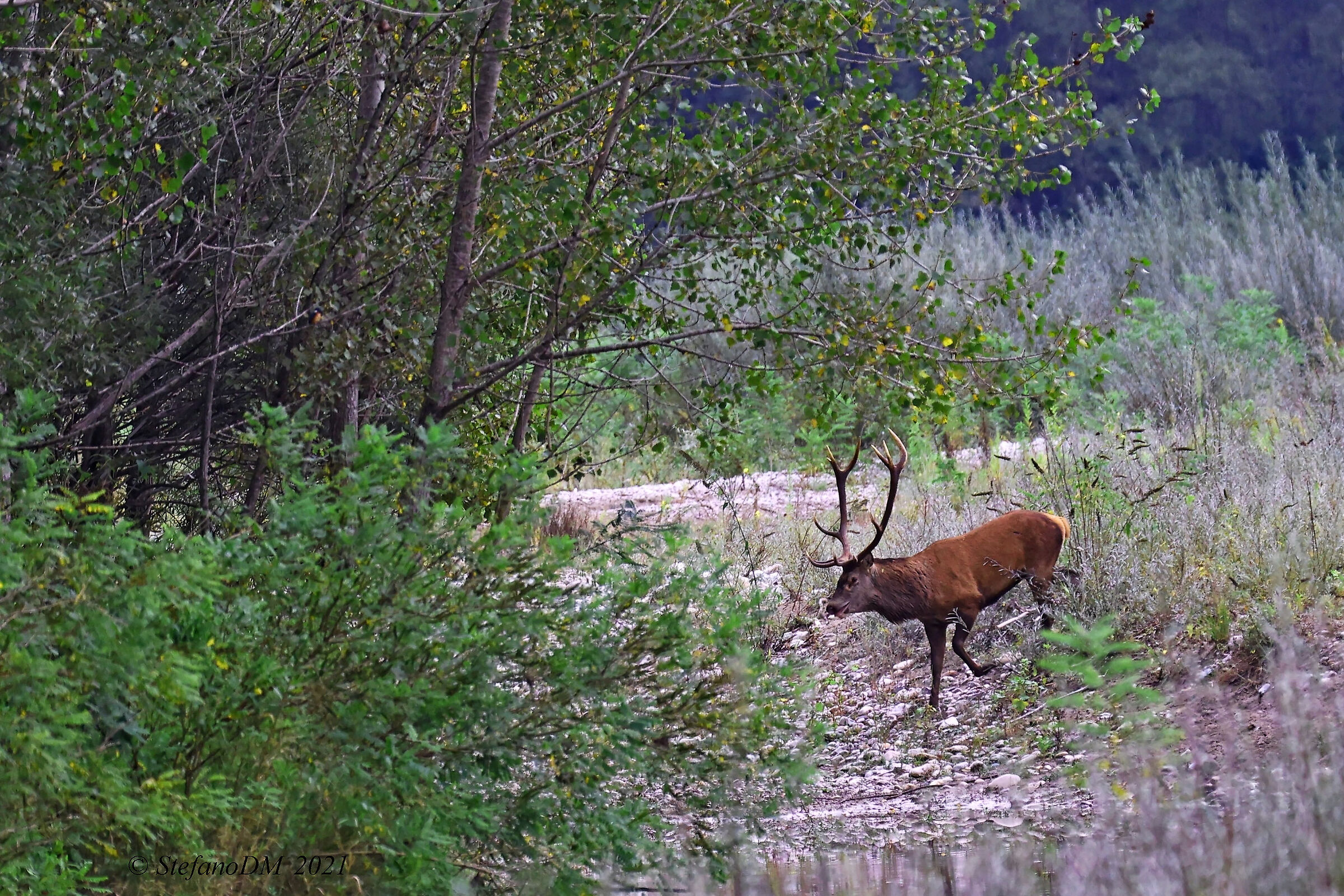On the riverbed