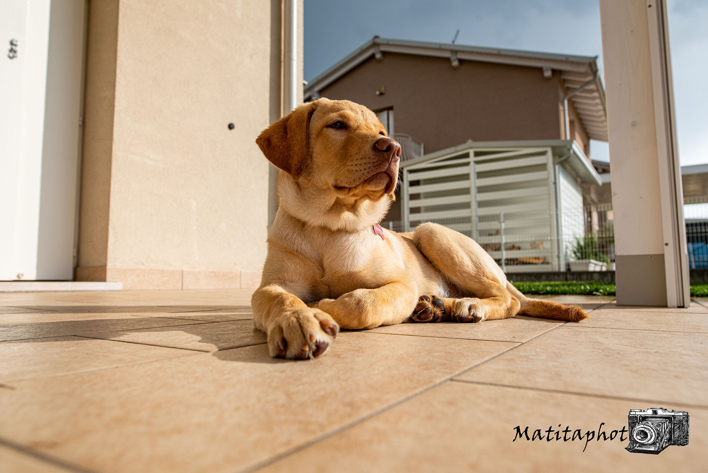 Giotto in the Sun