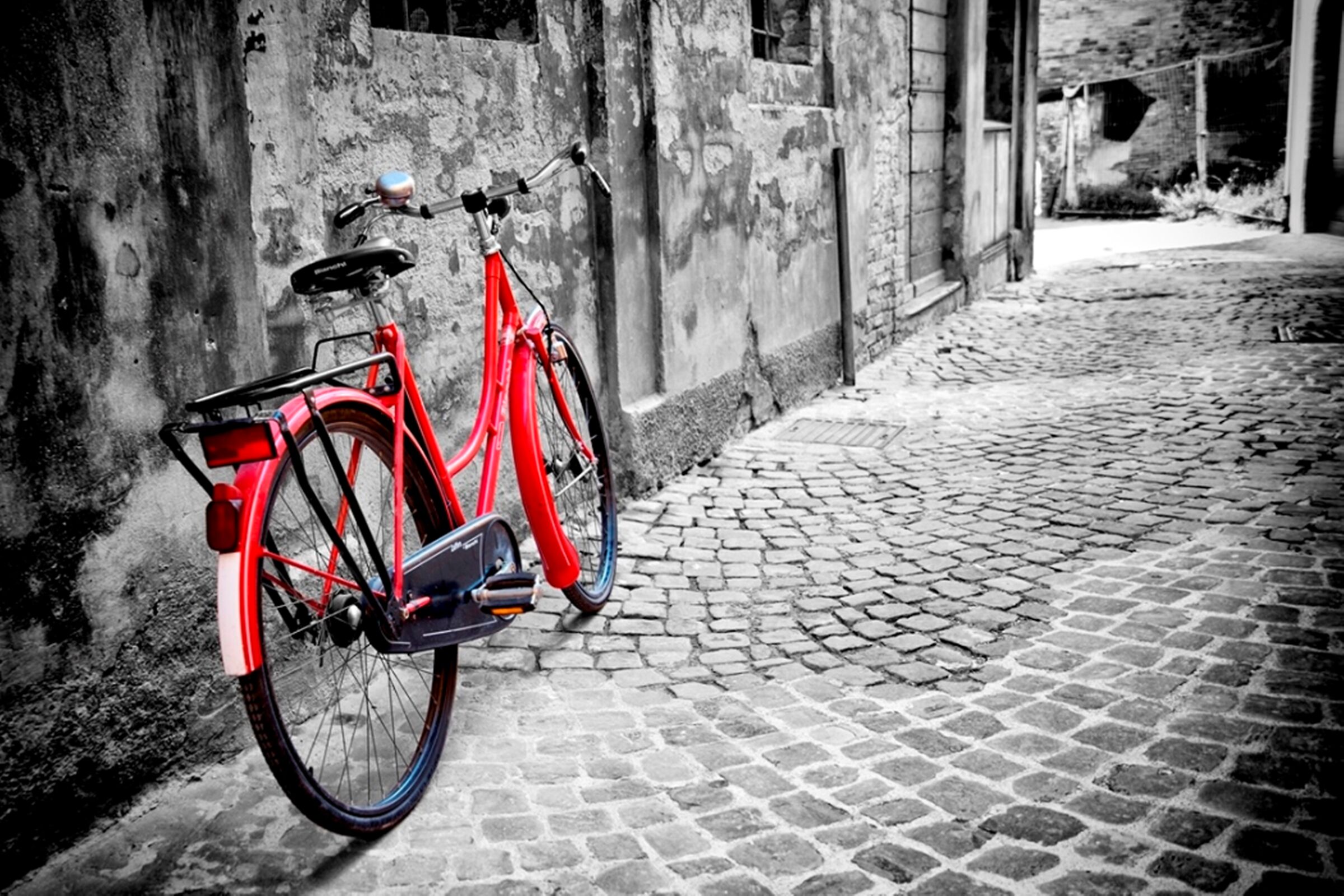 B/W with Color Bike