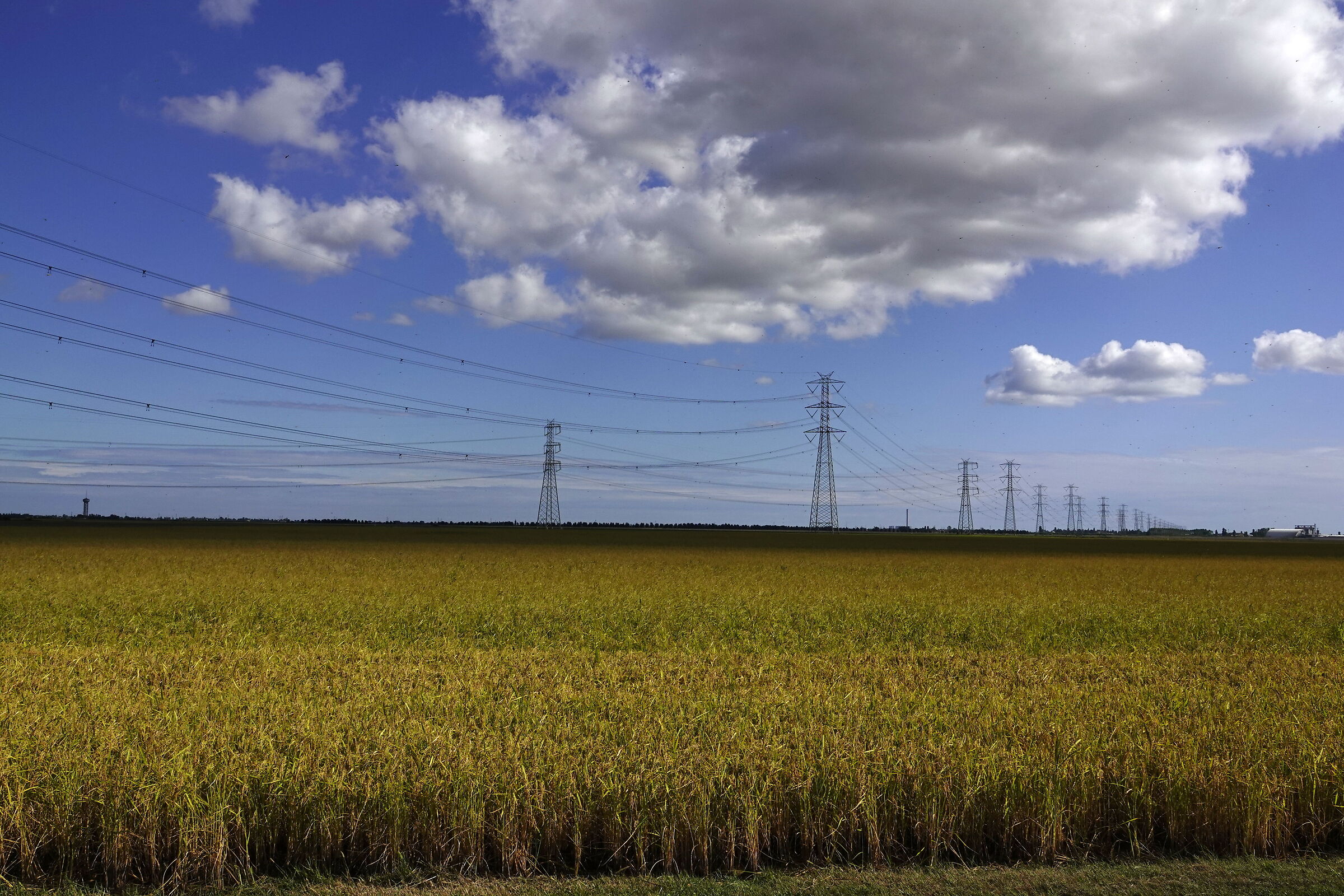 natura e energia