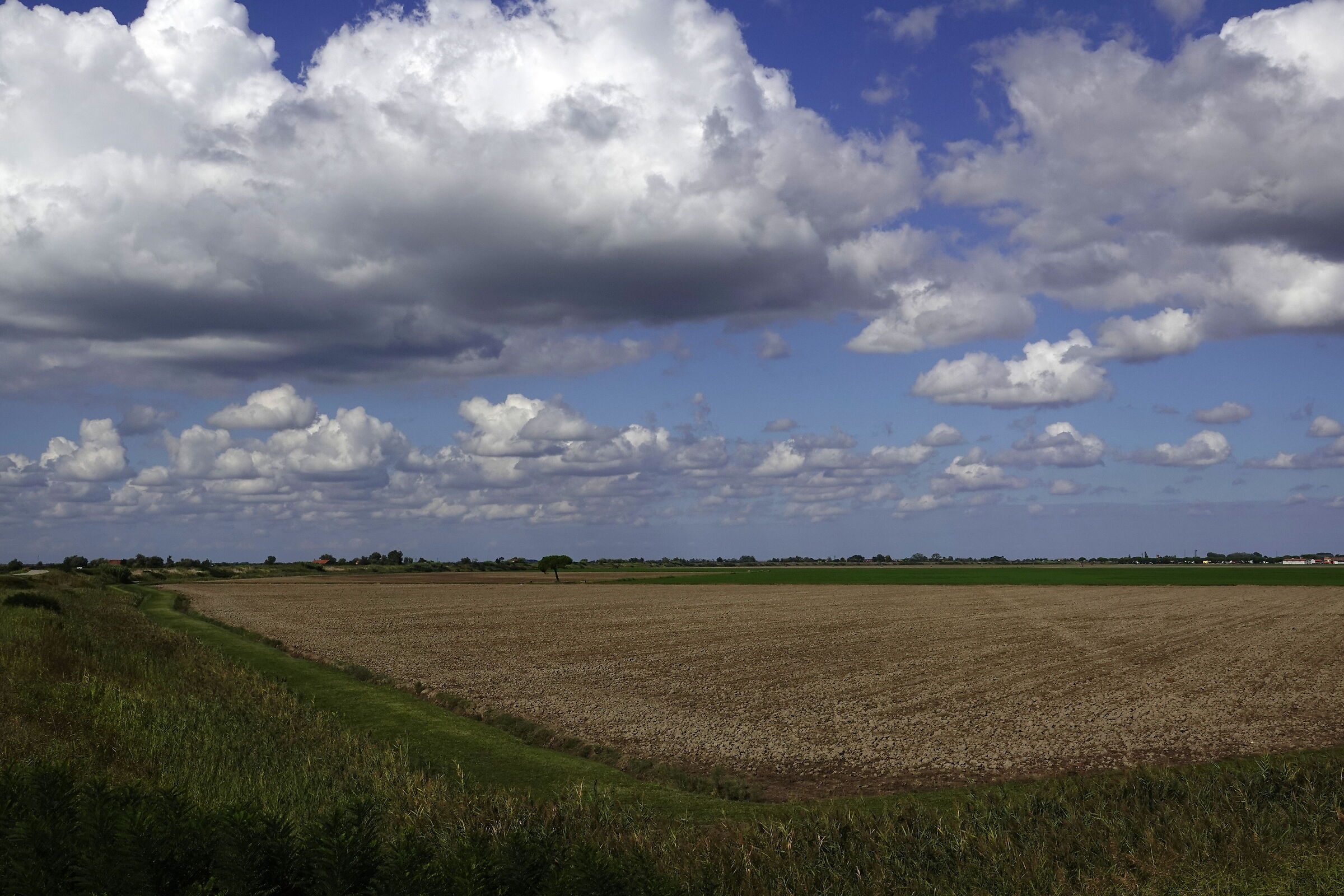 I colori del delta
