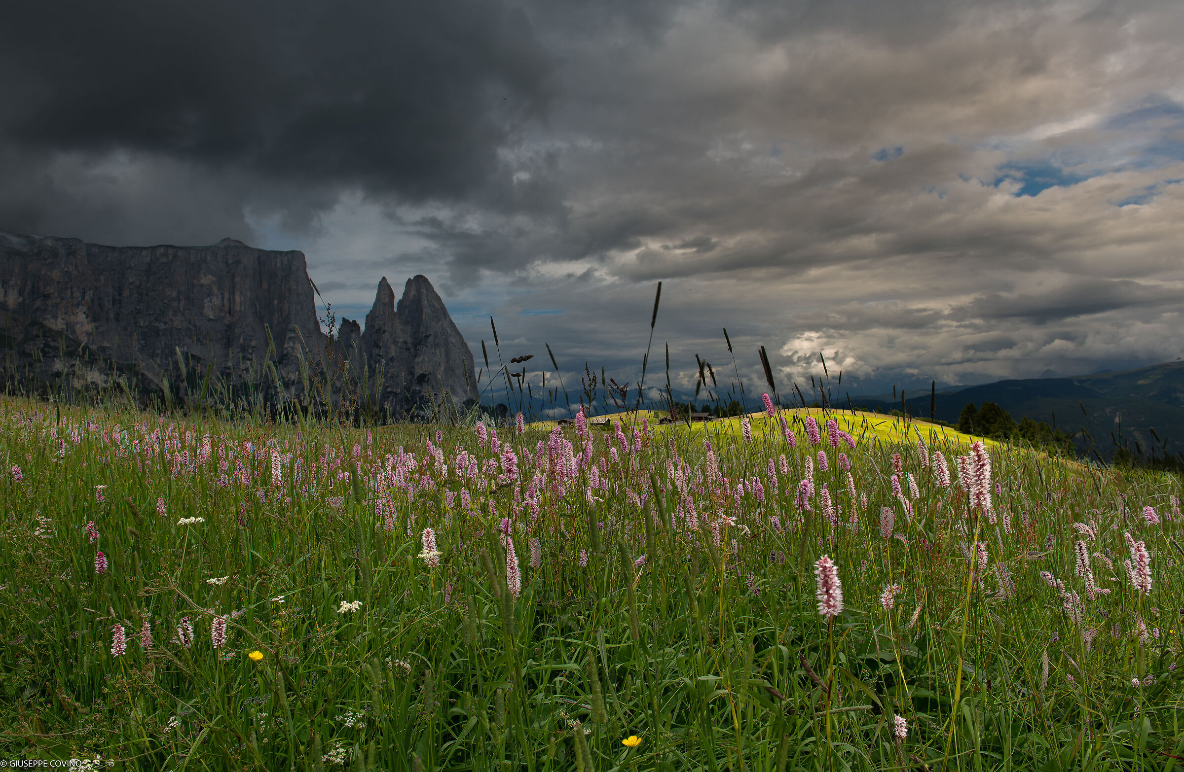 Tempo incerto sull'Alpe
