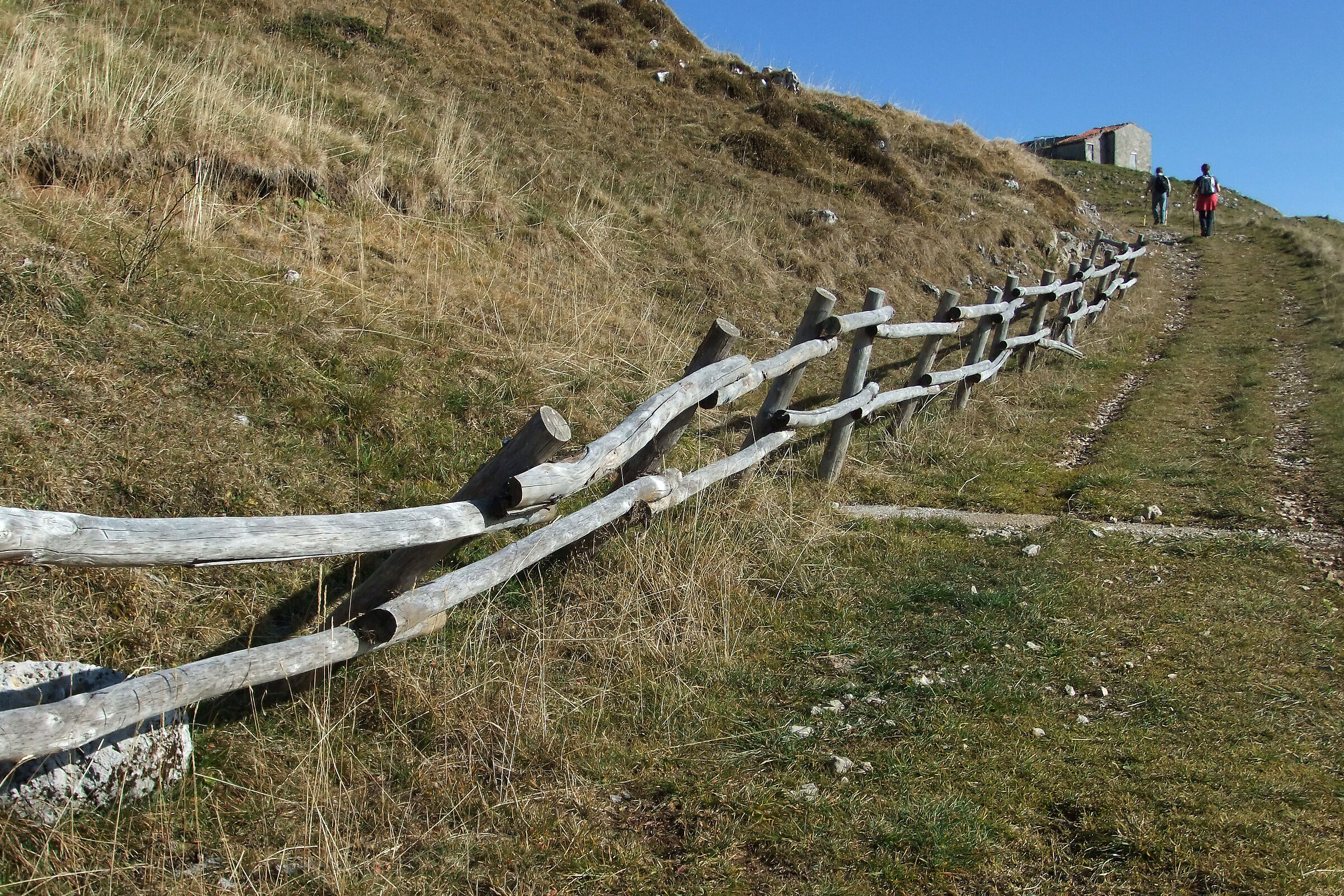 Mountain for everyone.