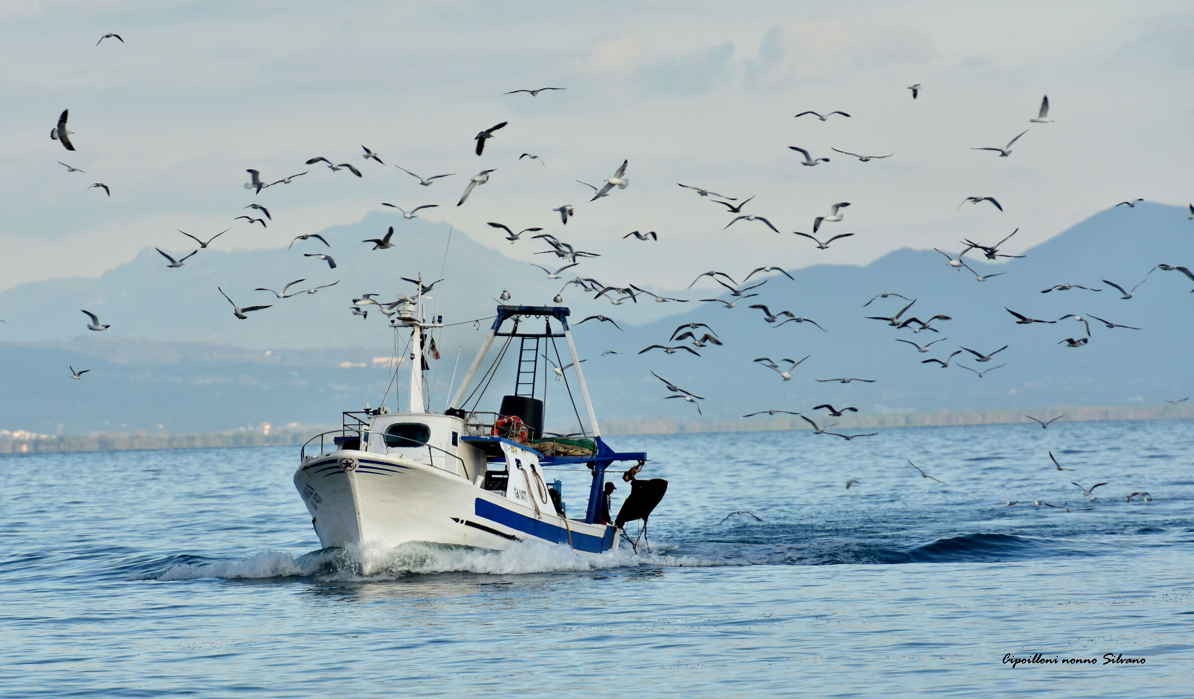 Waiting for some fish.