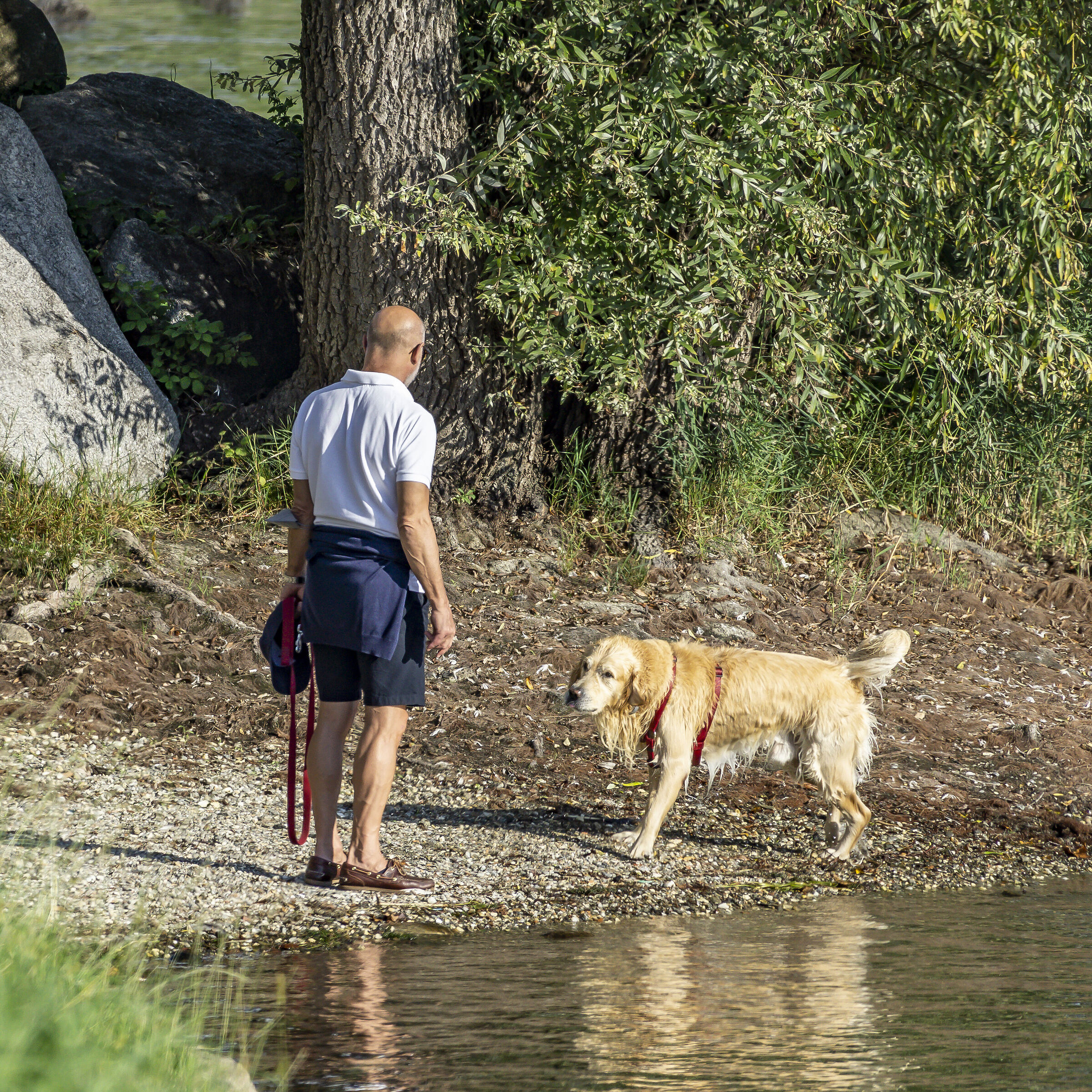 Tuesday, September 21, 2021. 16:46:18