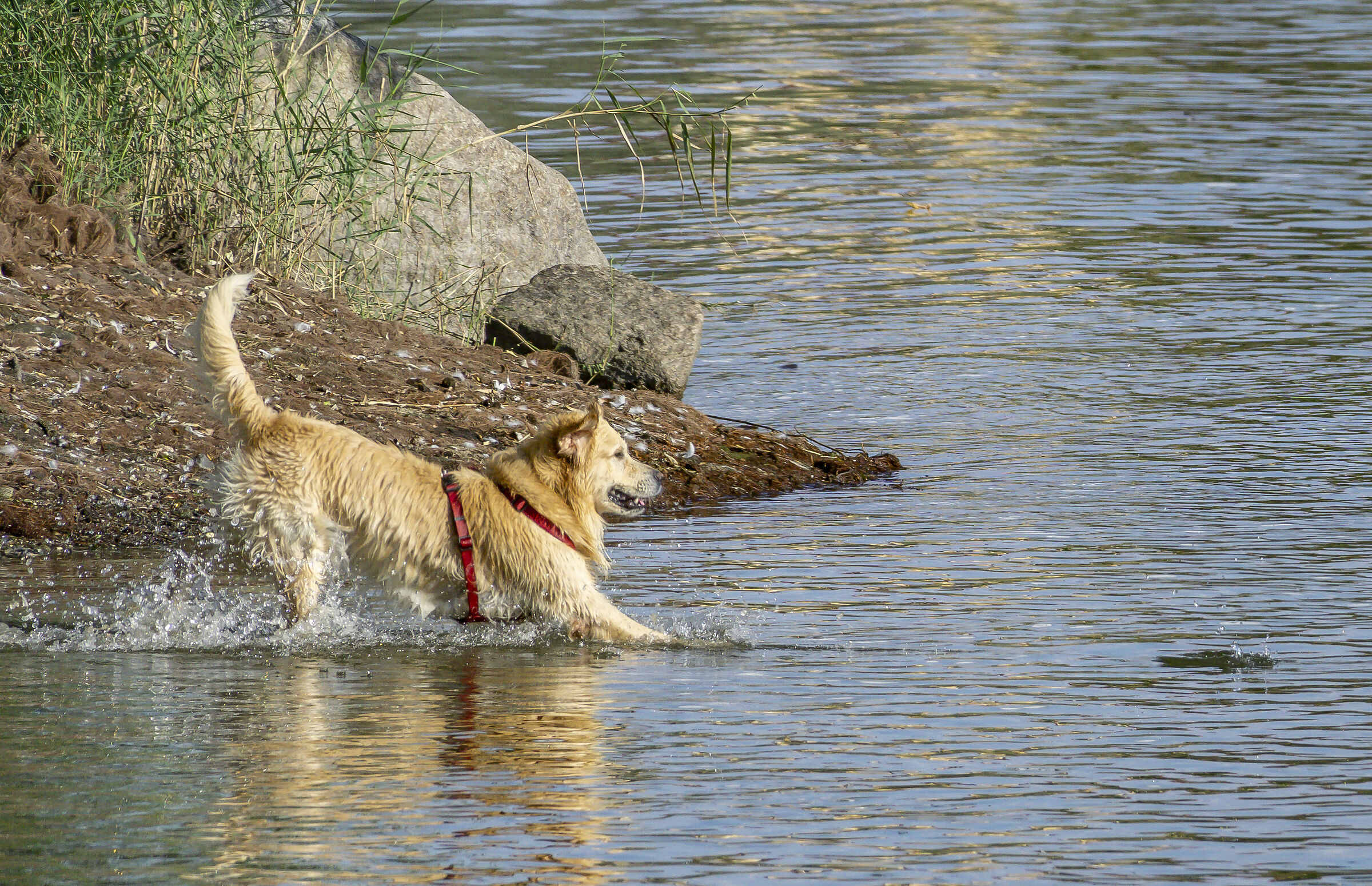 Tuesday, September 21, 2021. 16:46:30