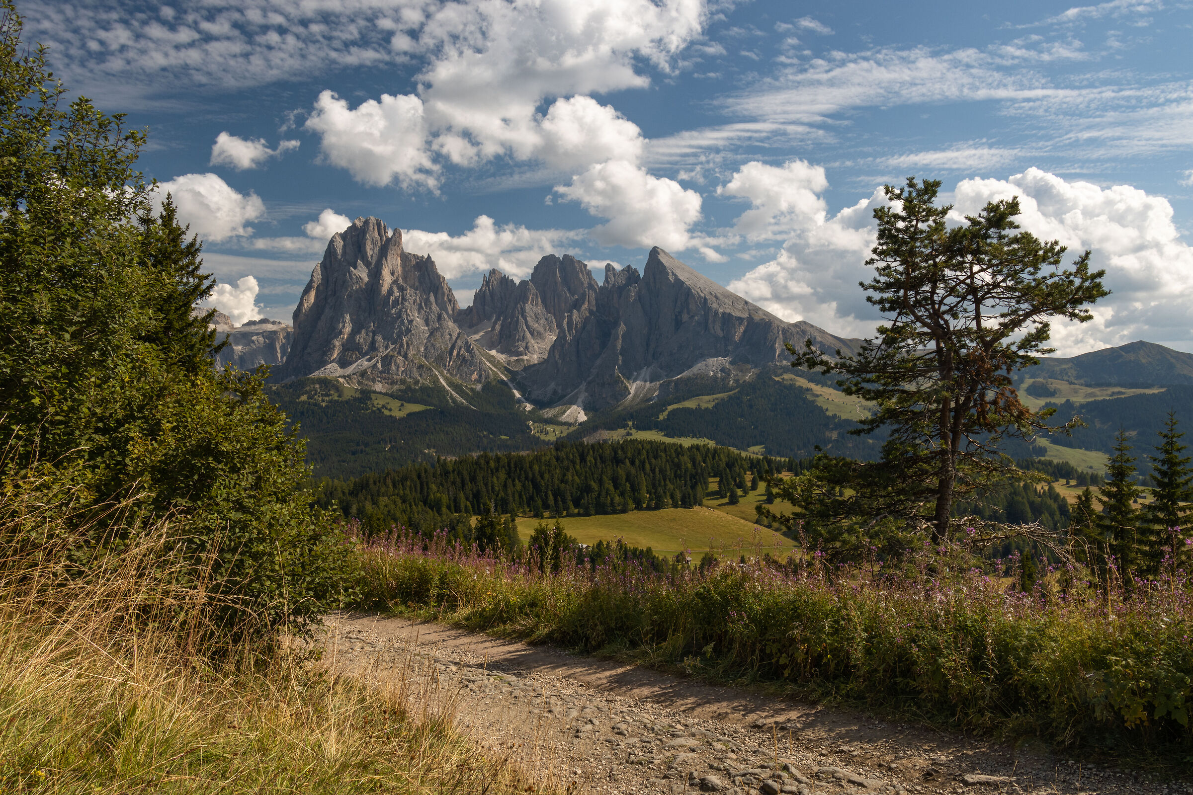 Alpe di siusi
