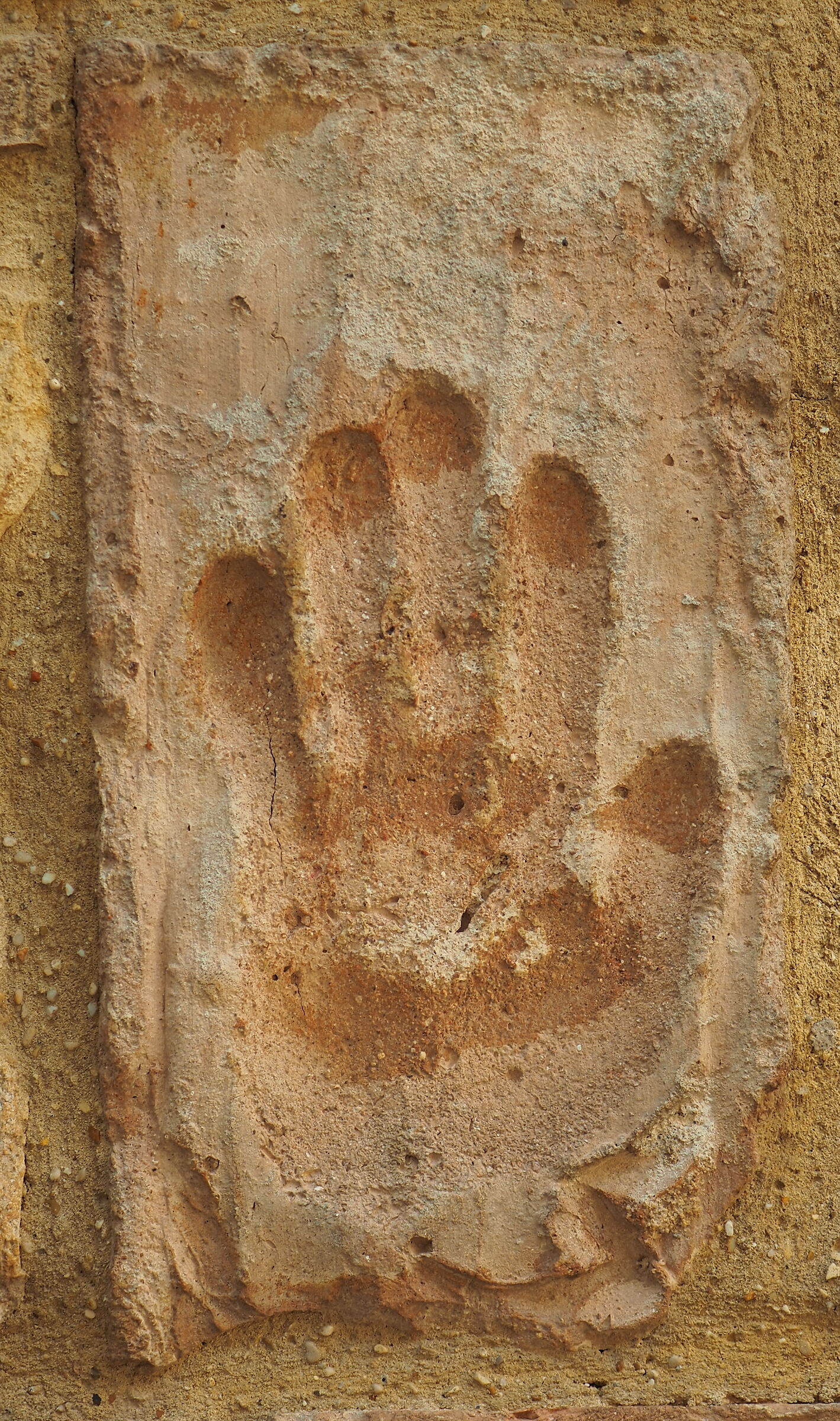 Bell of the Cretaceous...