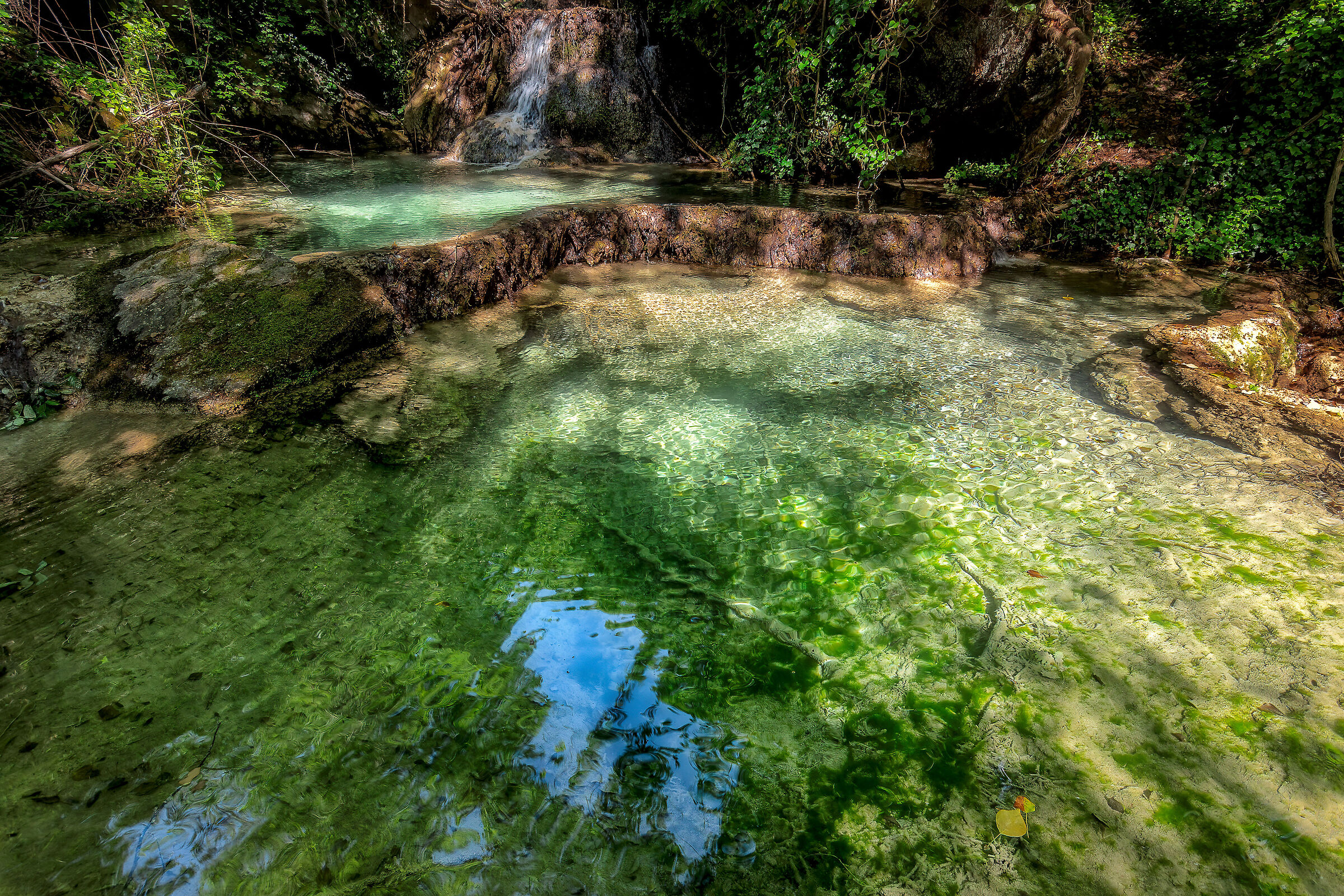 torrente boschivo in umbria