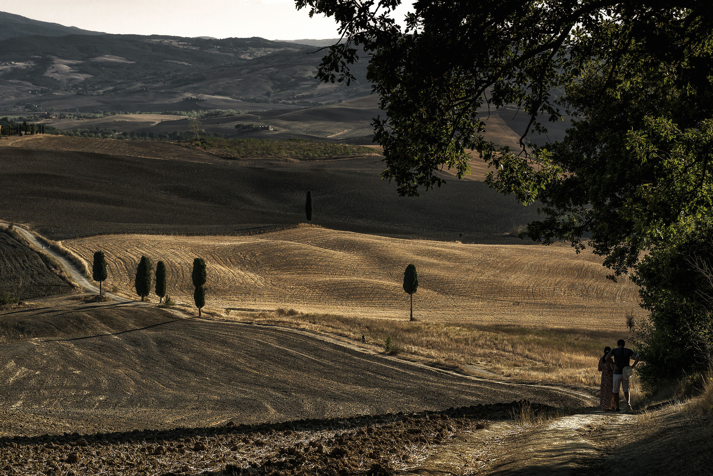 val d'orcia fine estate 2