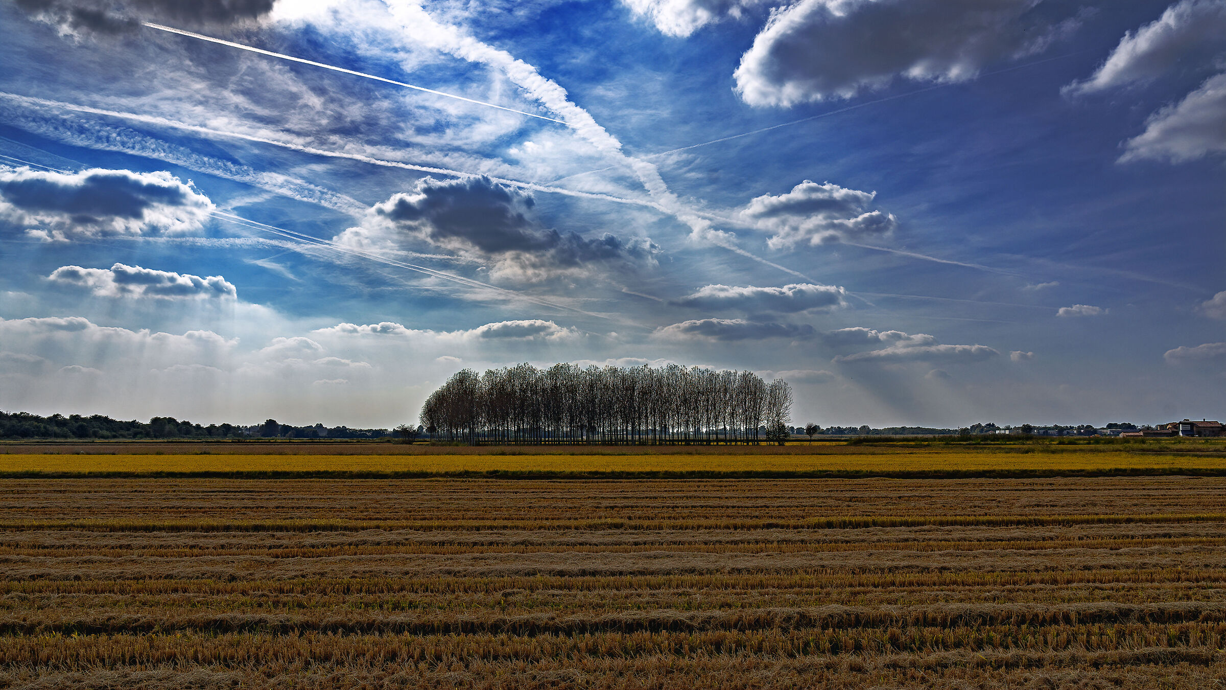 scie chimiche sulle risaie