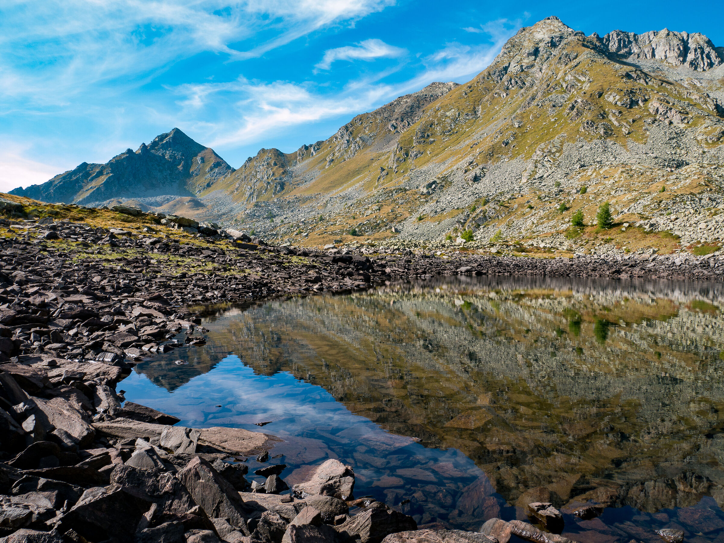 Rogneda Hotels