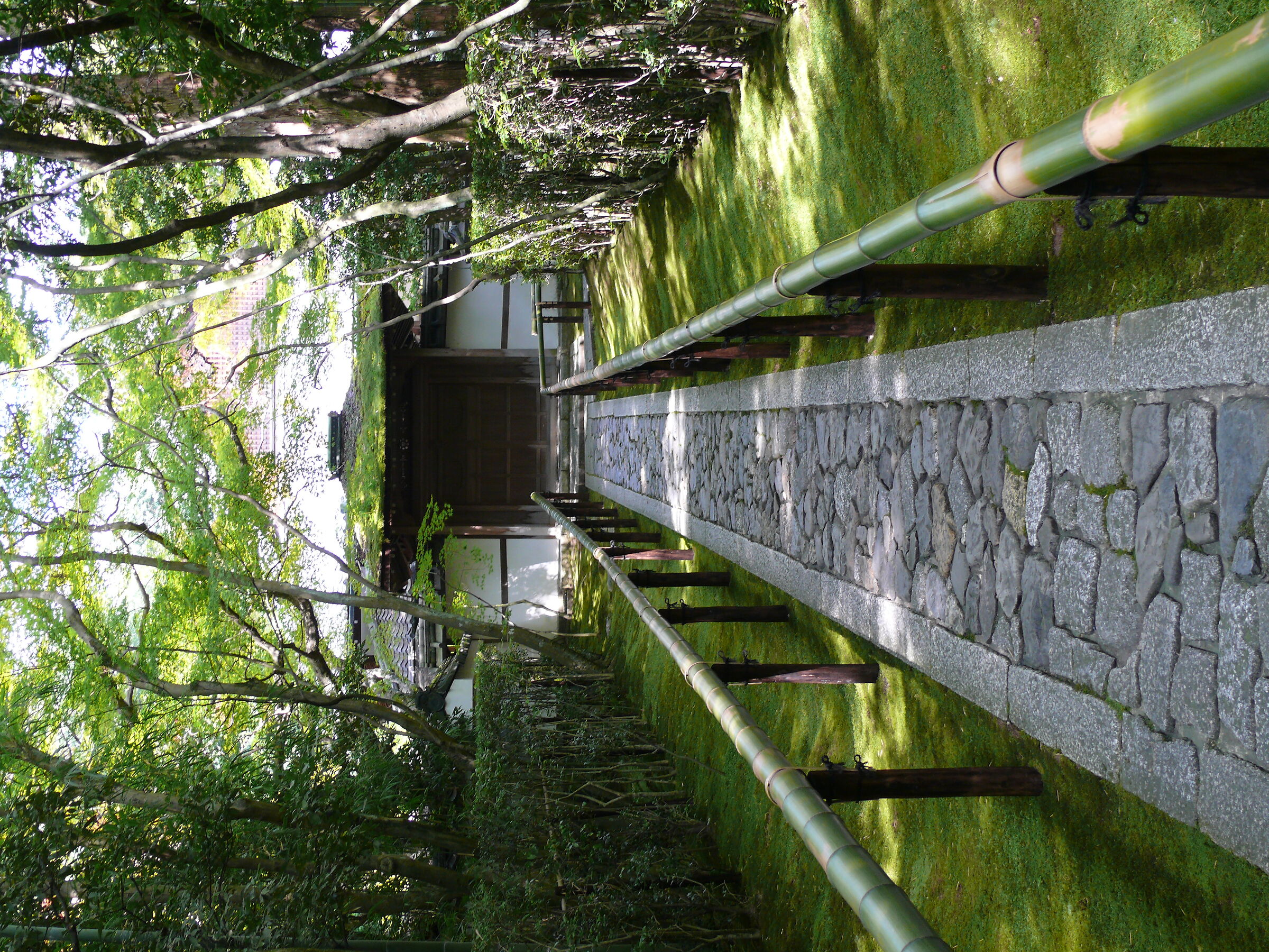Untitled Photo