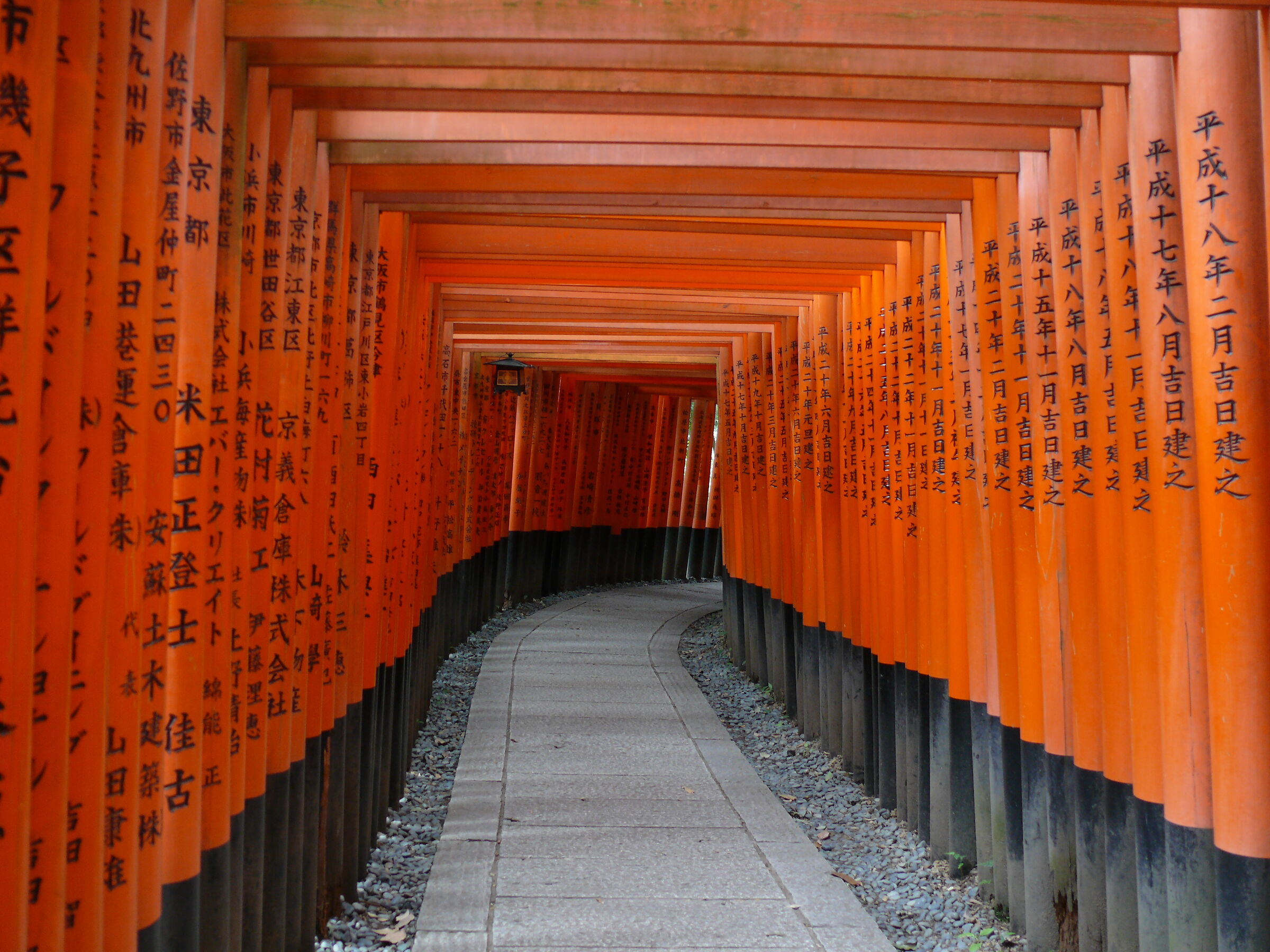 Untitled Photo