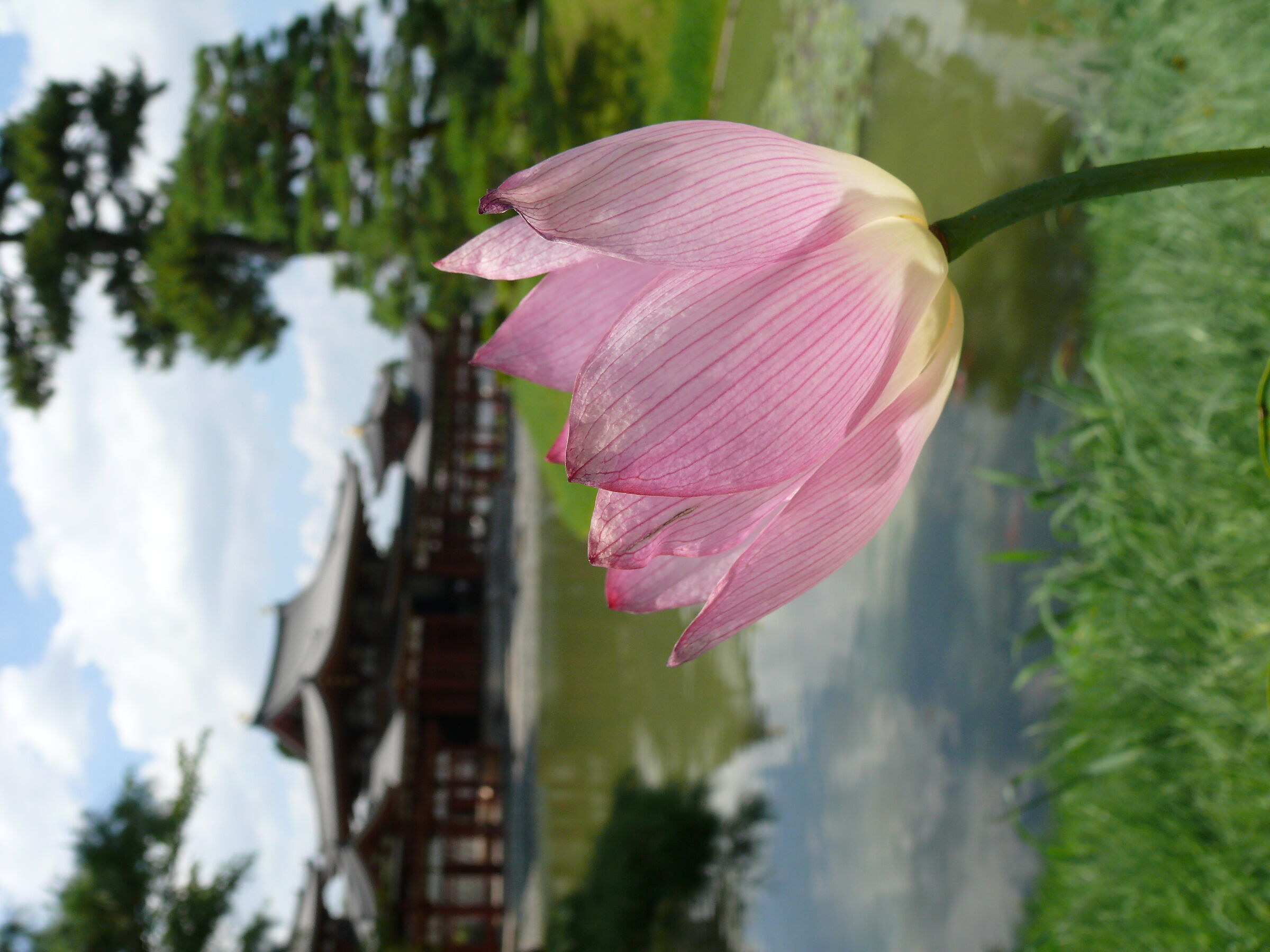Untitled Photo