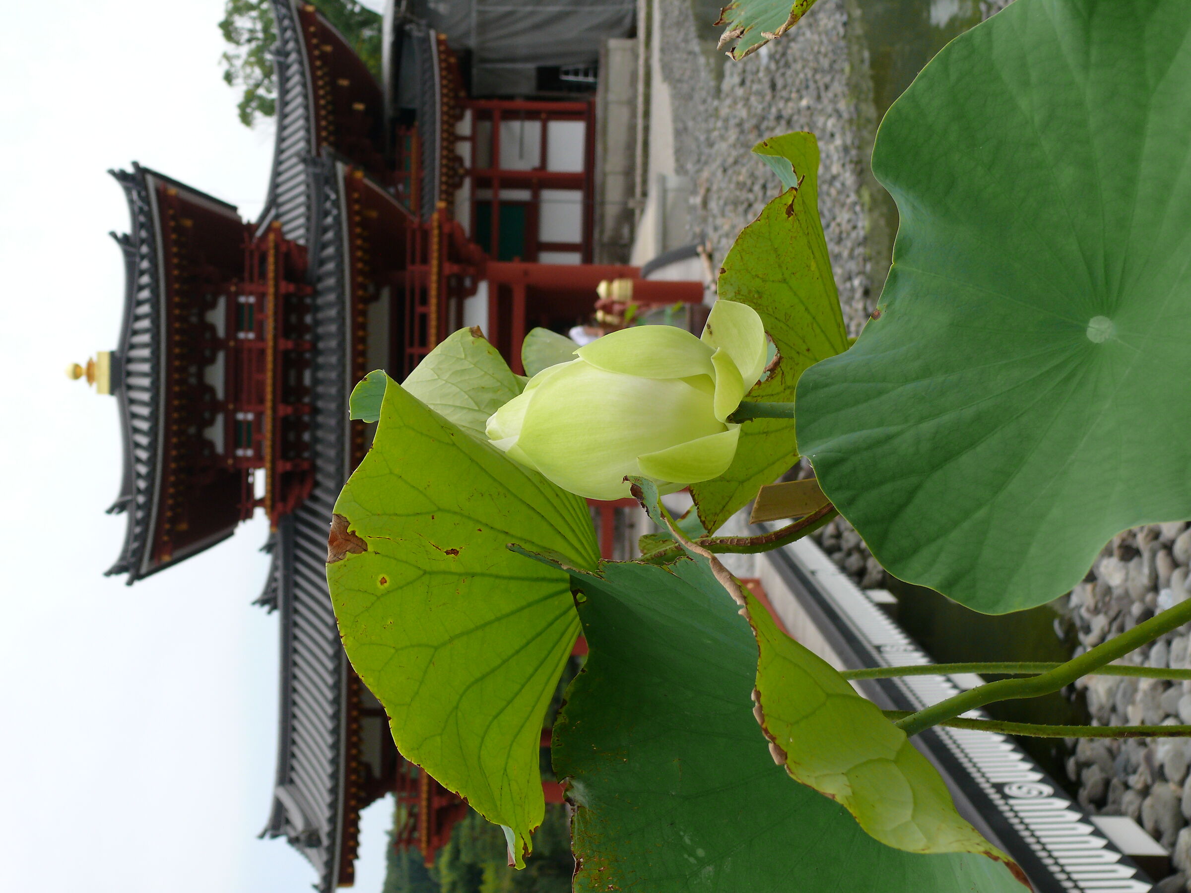 Untitled Photo