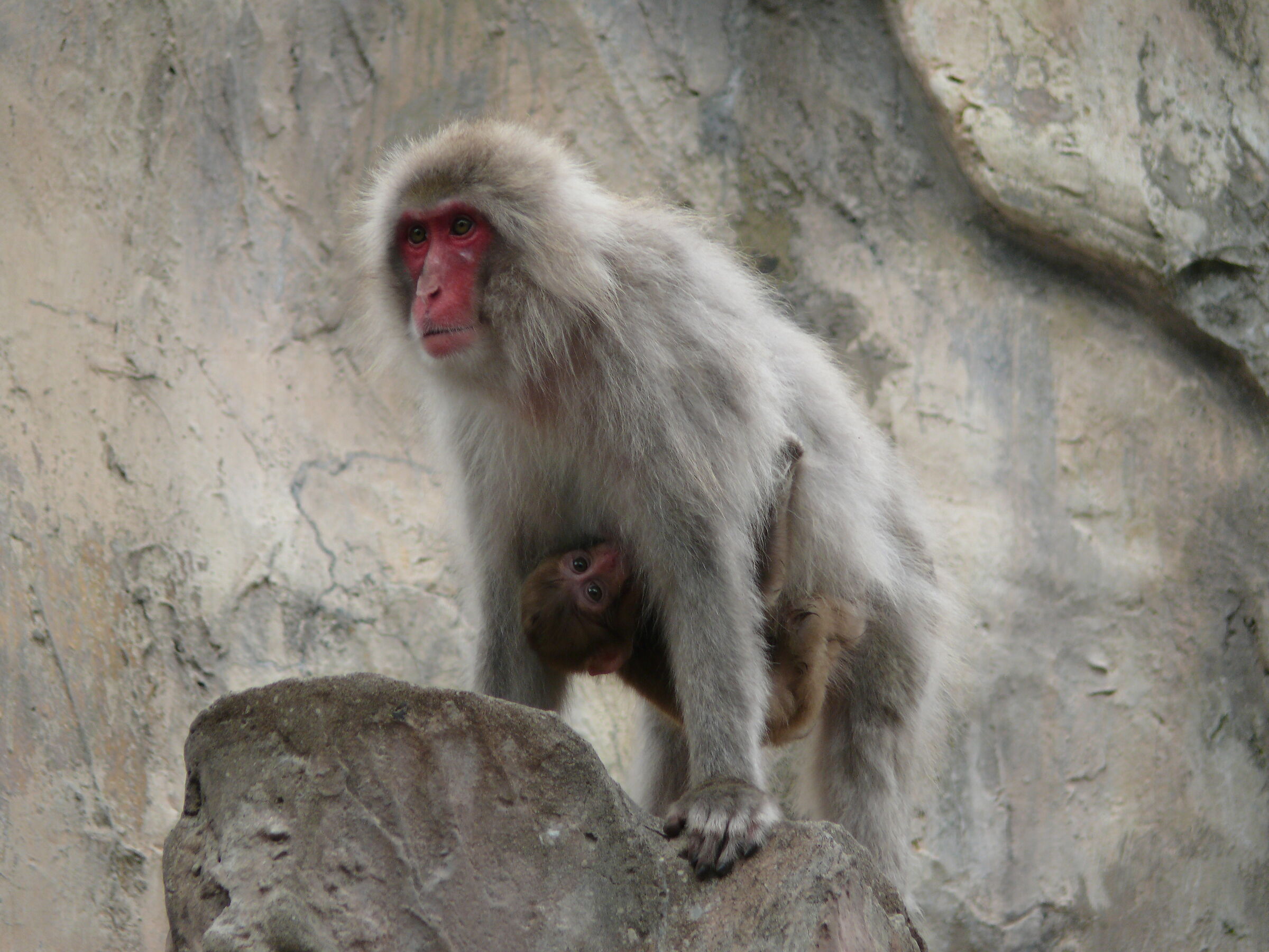 Untitled Photo