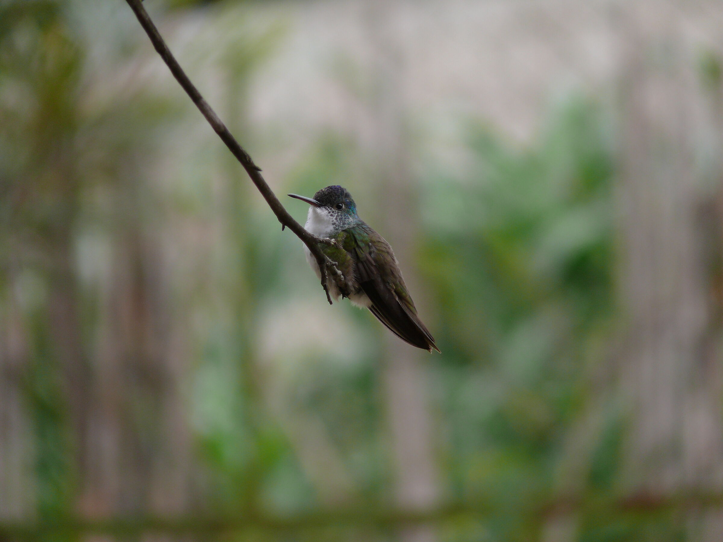 Untitled Photo