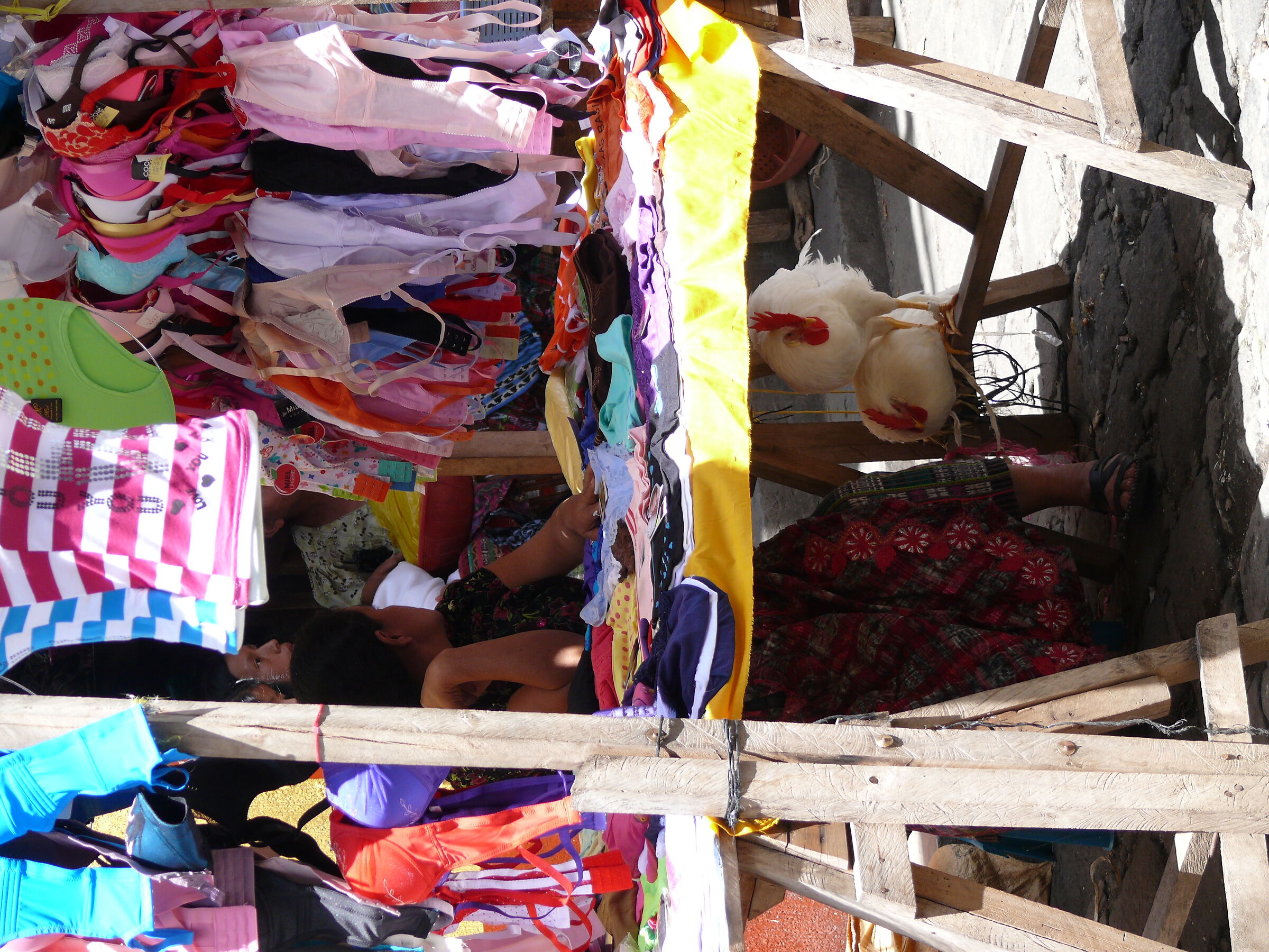 Untitled Photo