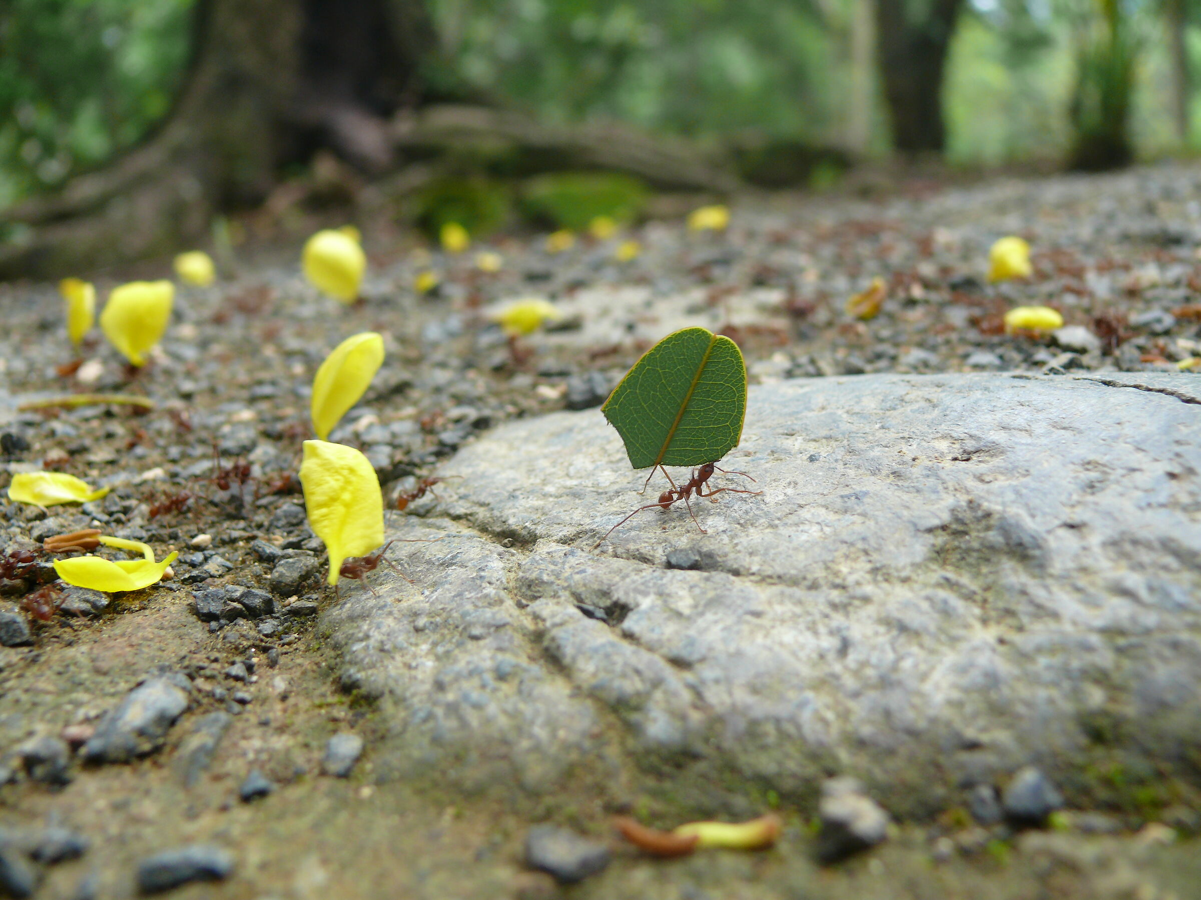 Untitled Photo
