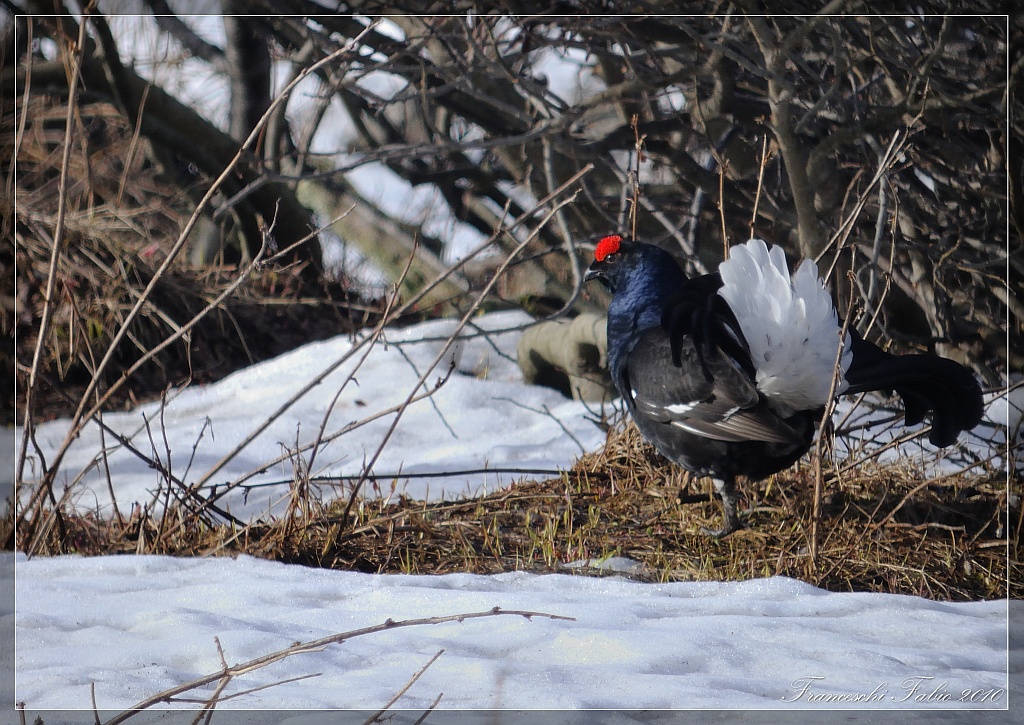 Here comes the sun ..