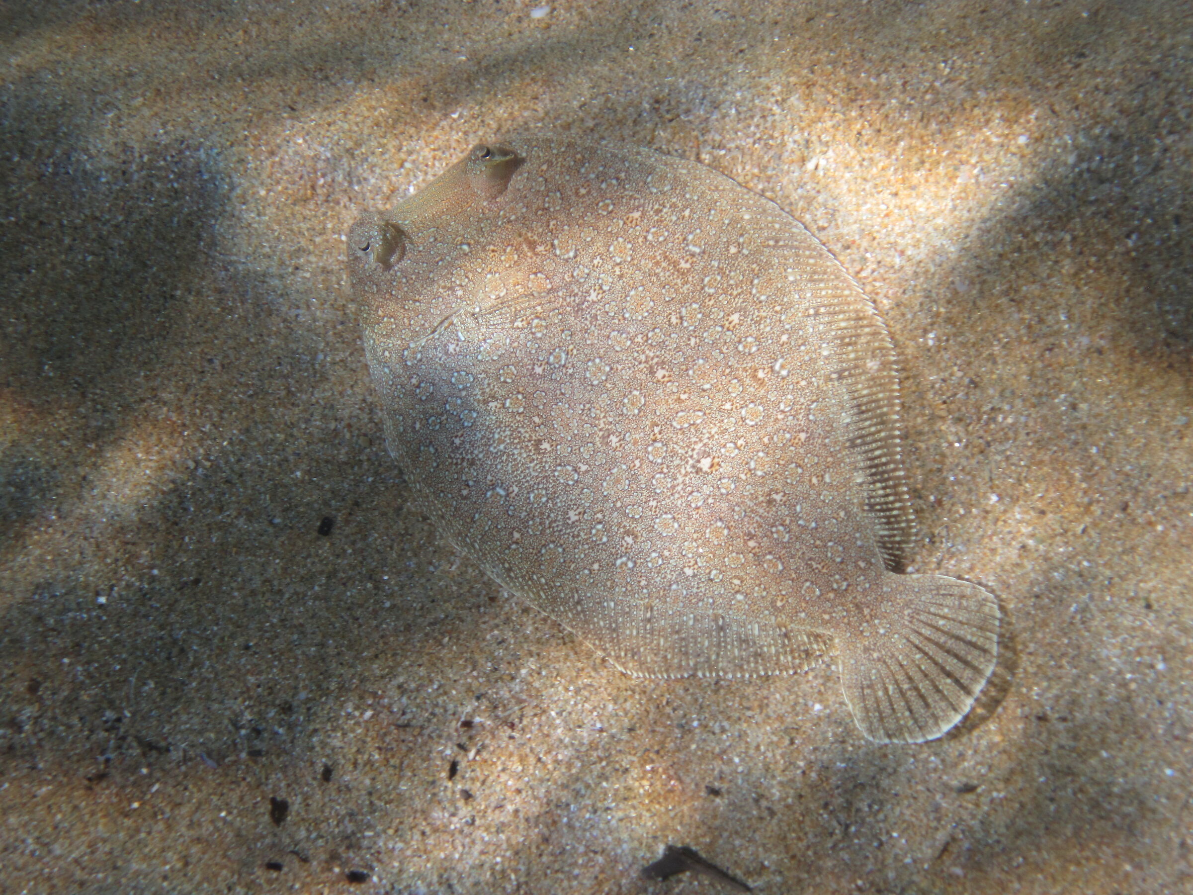 Untitled Photo