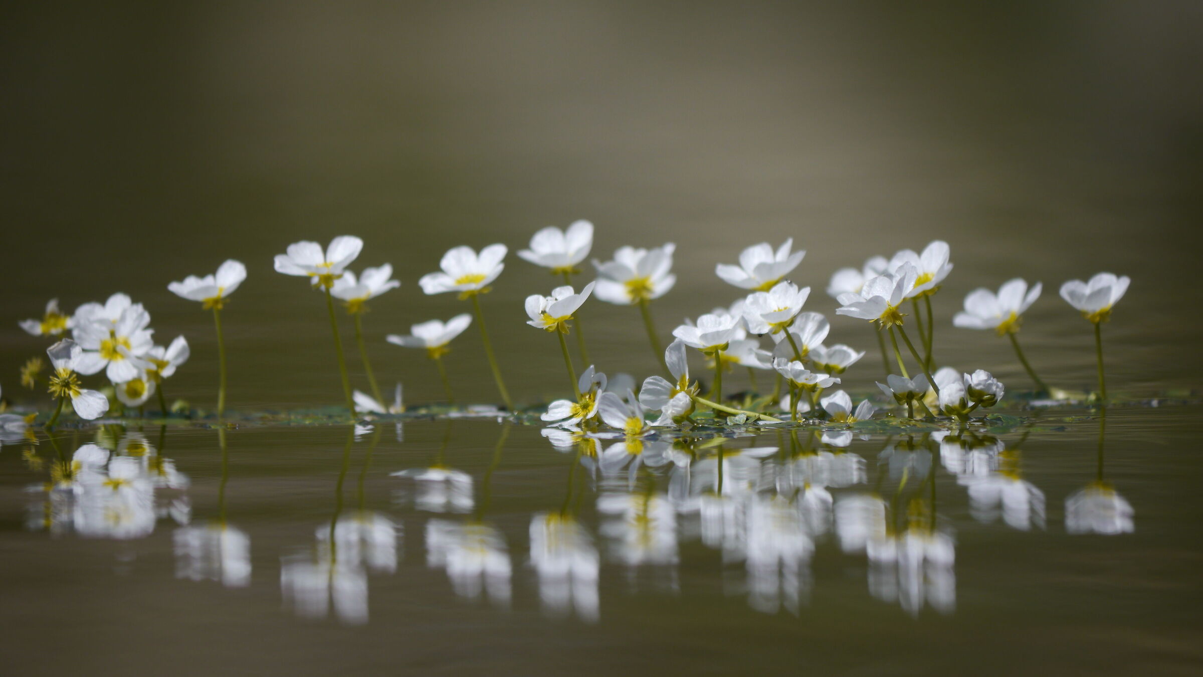 Untitled Photo