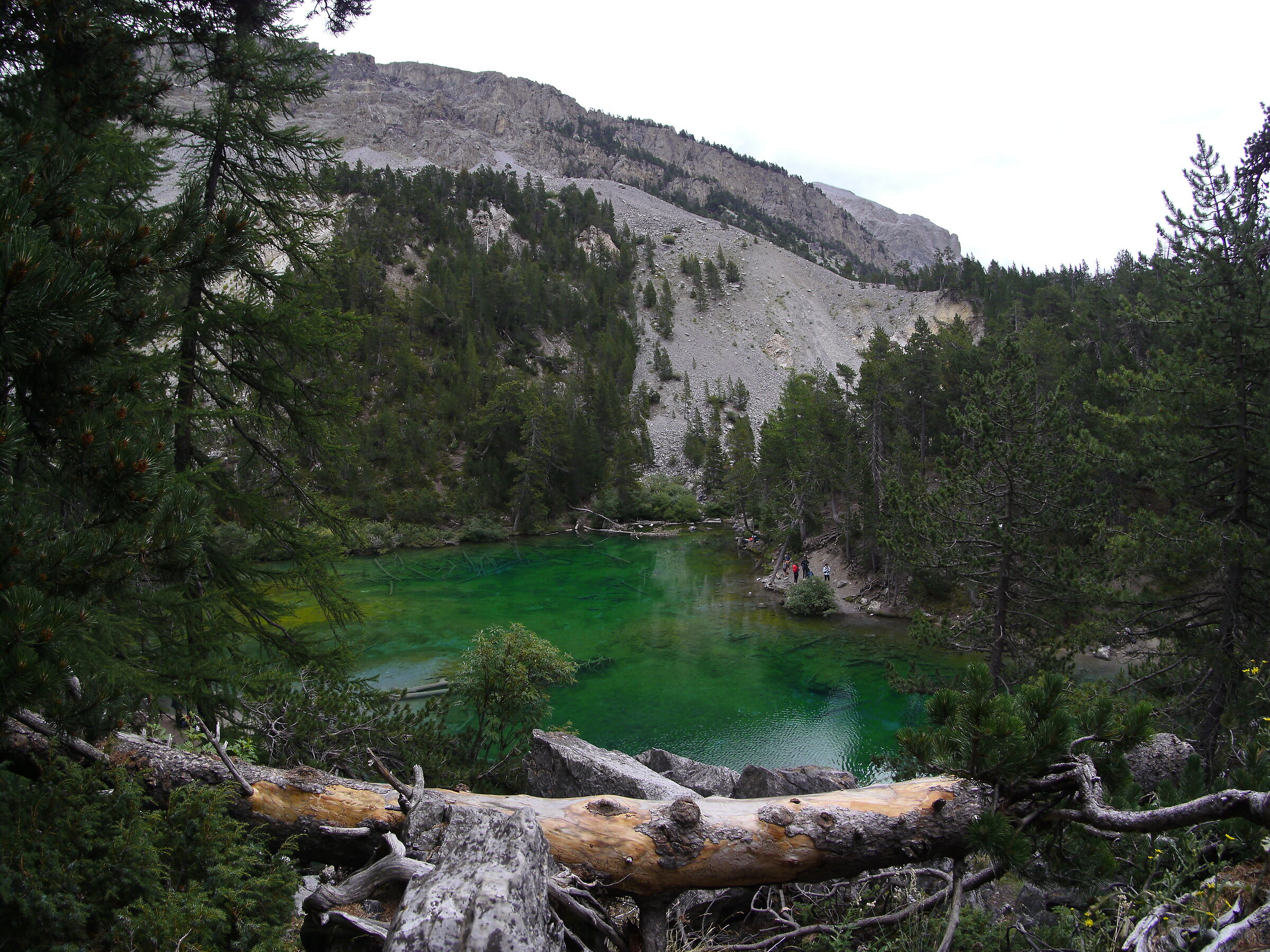 Untitled Photo