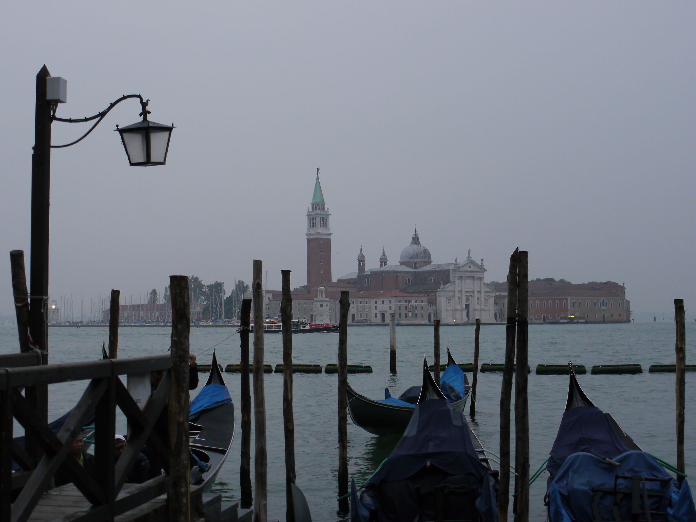 Untitled Photo