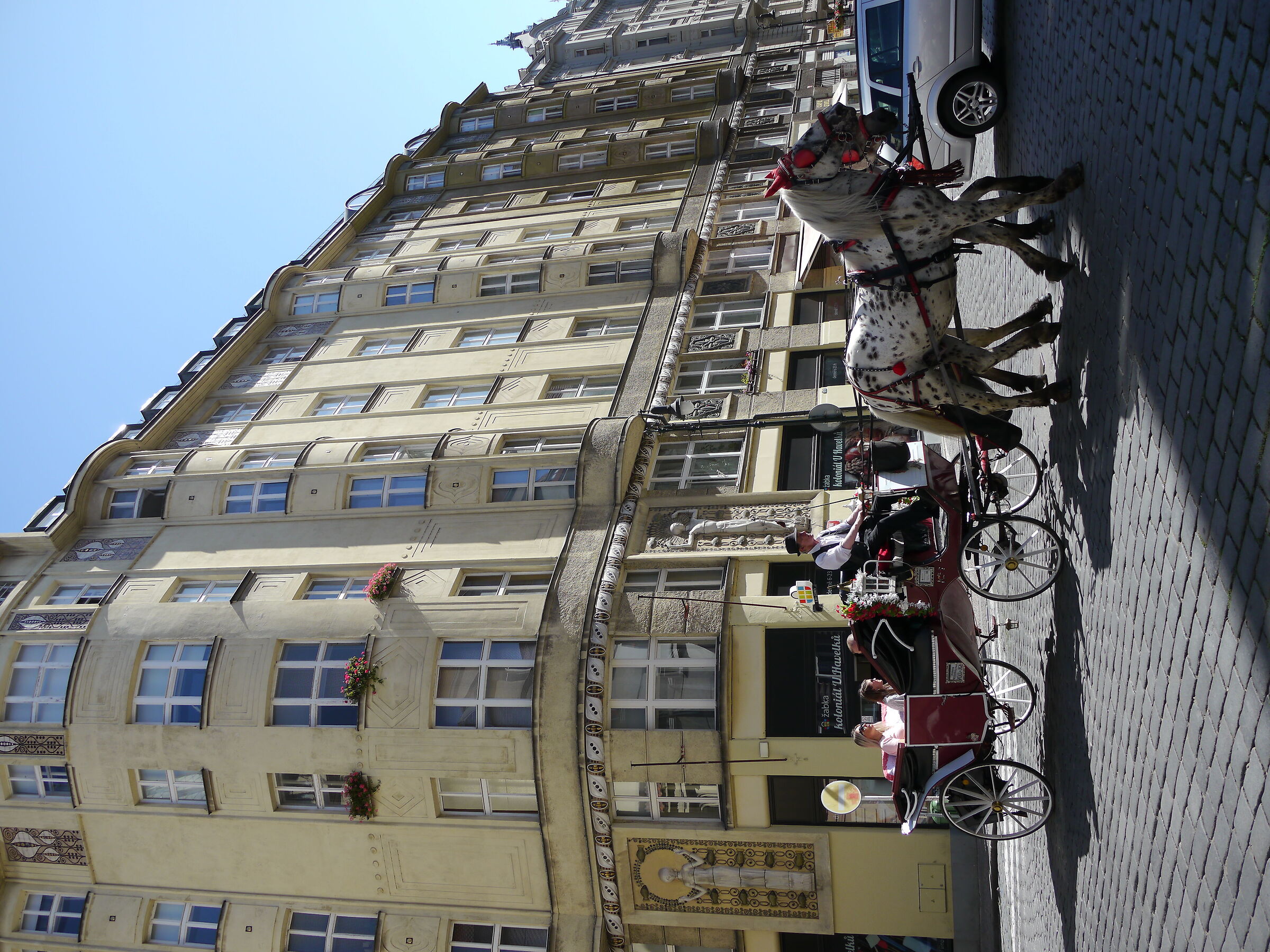 Untitled Photo