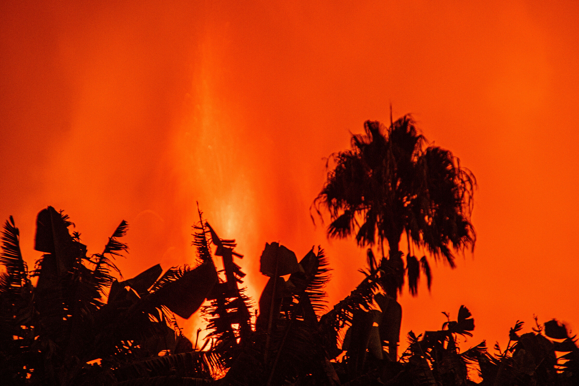 plataneras palma e il vulcano