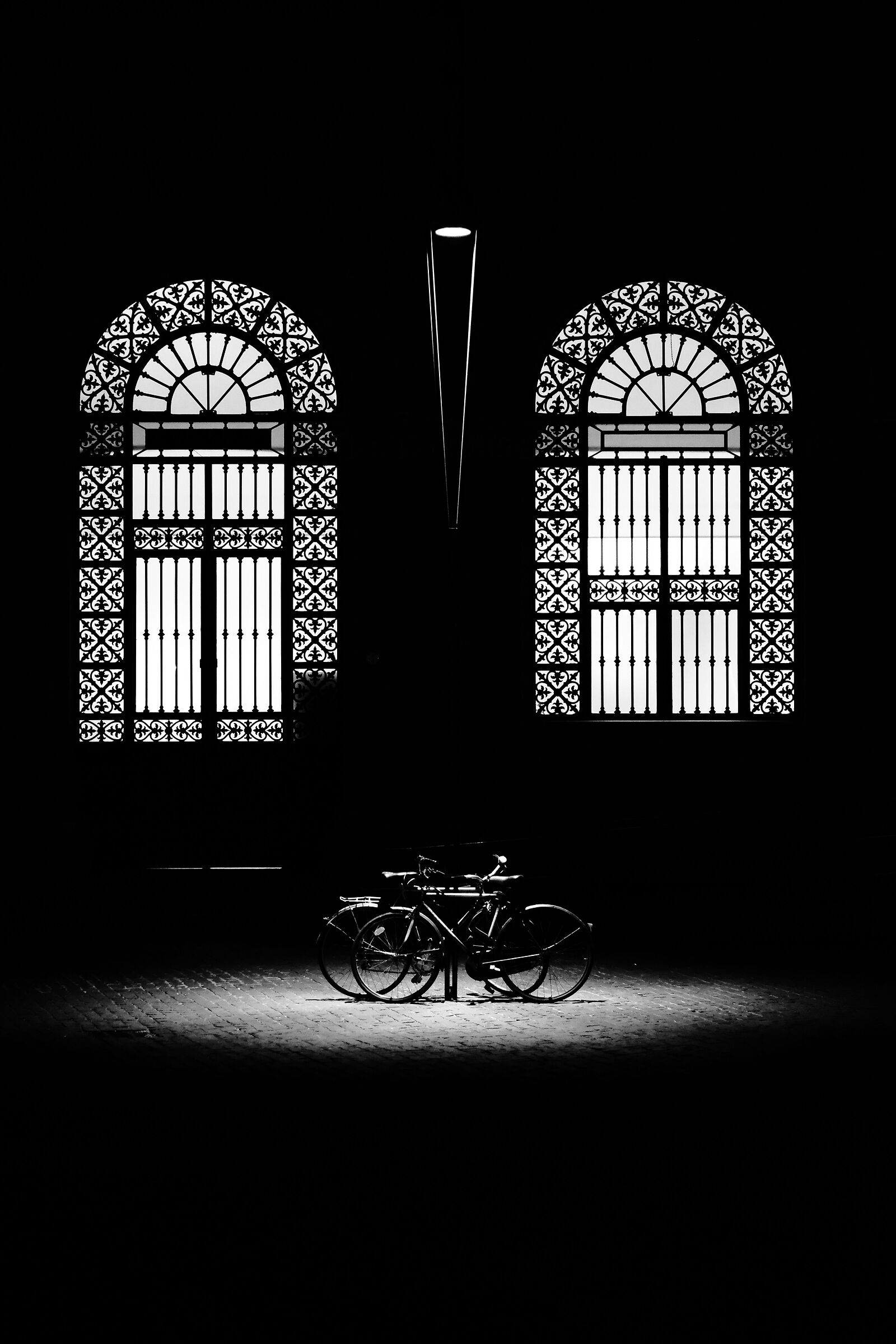Untitled Photo