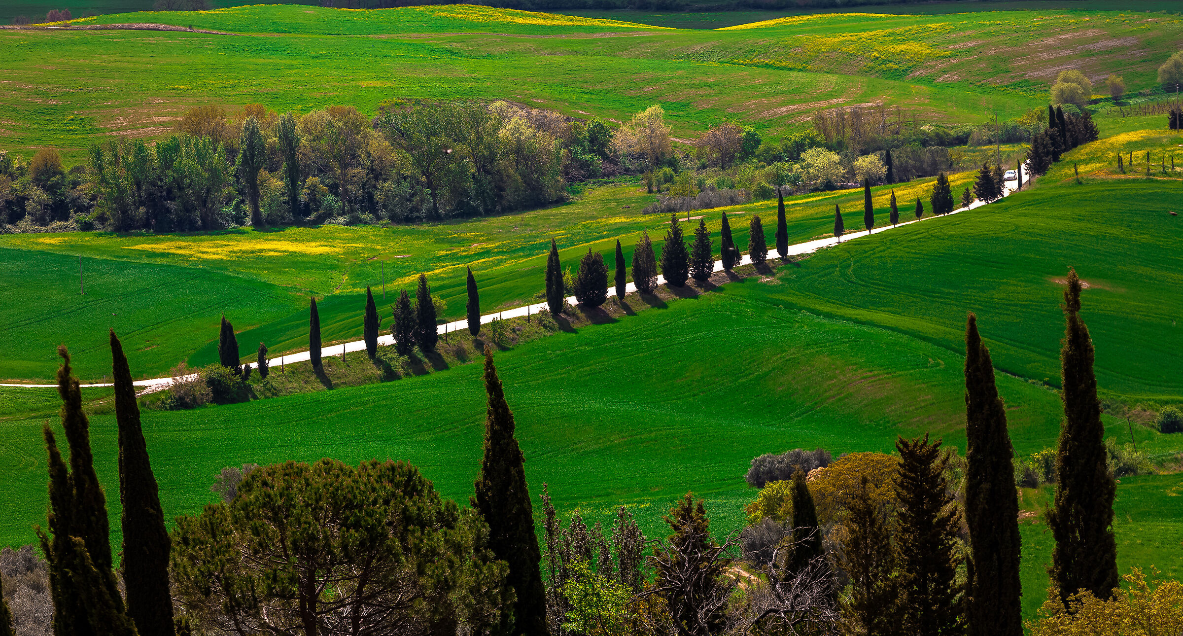 Autumn in Val D'Orcia