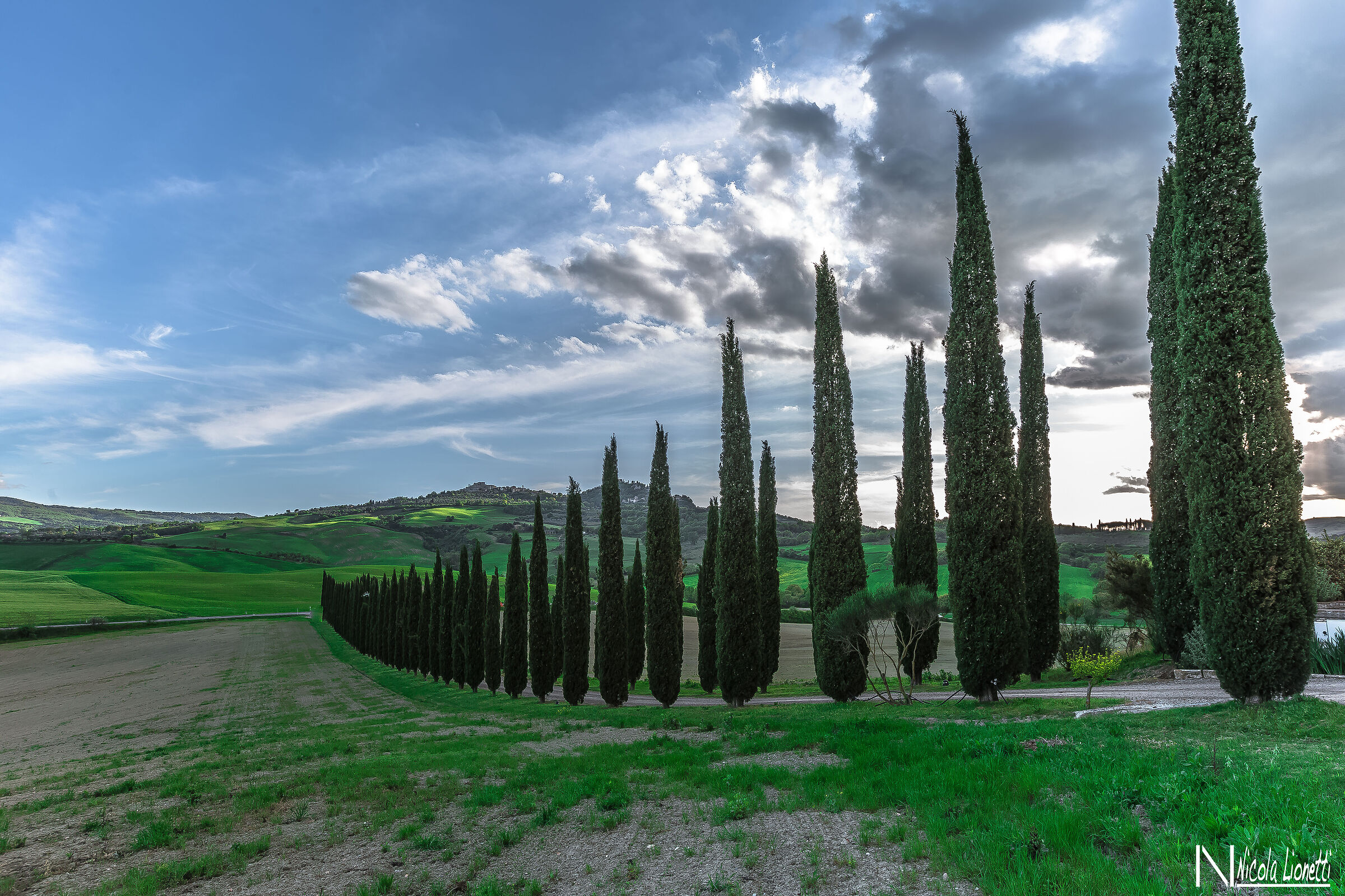 The cypresses of the Val di Norcia