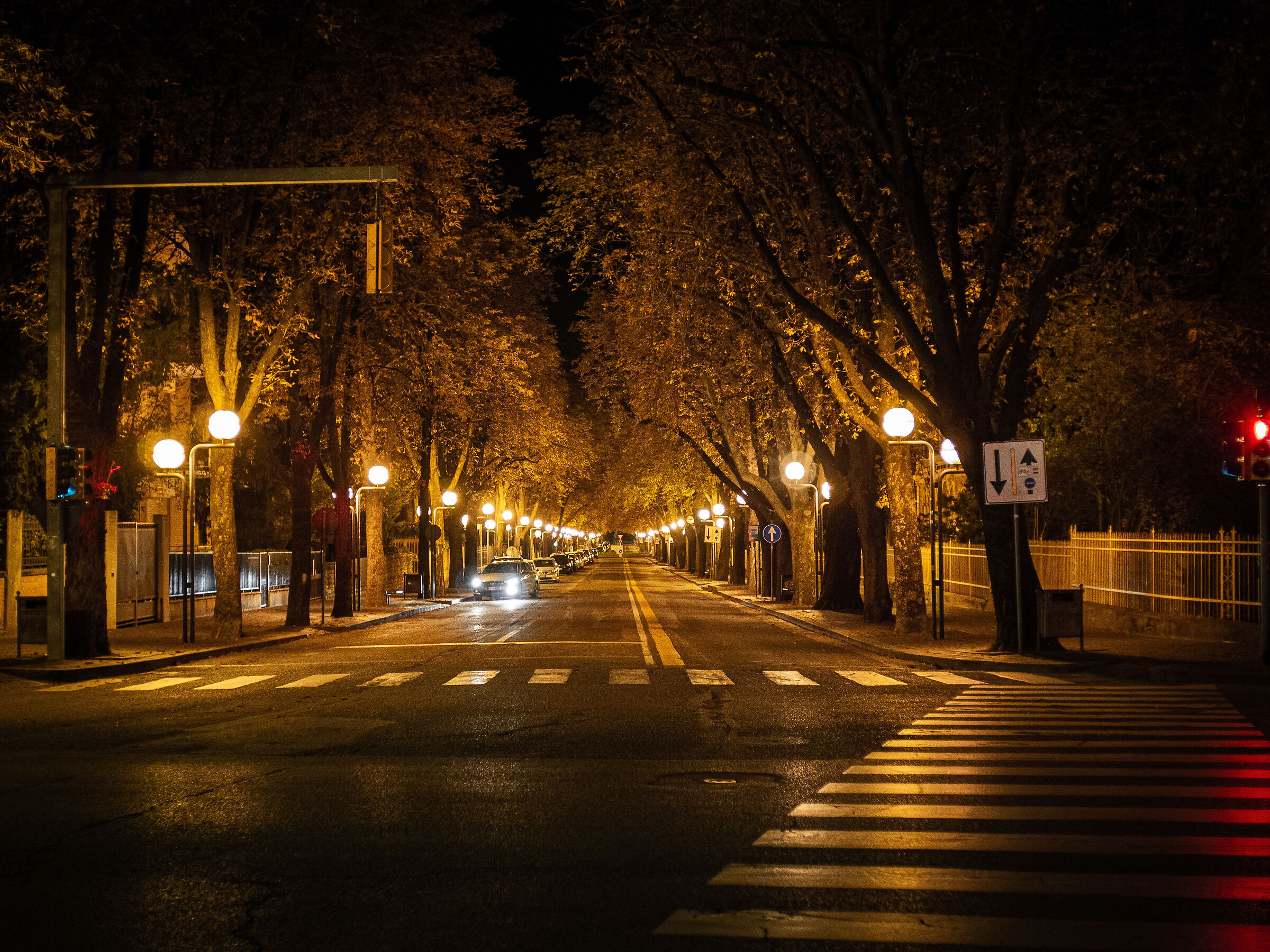 Untitled Photo